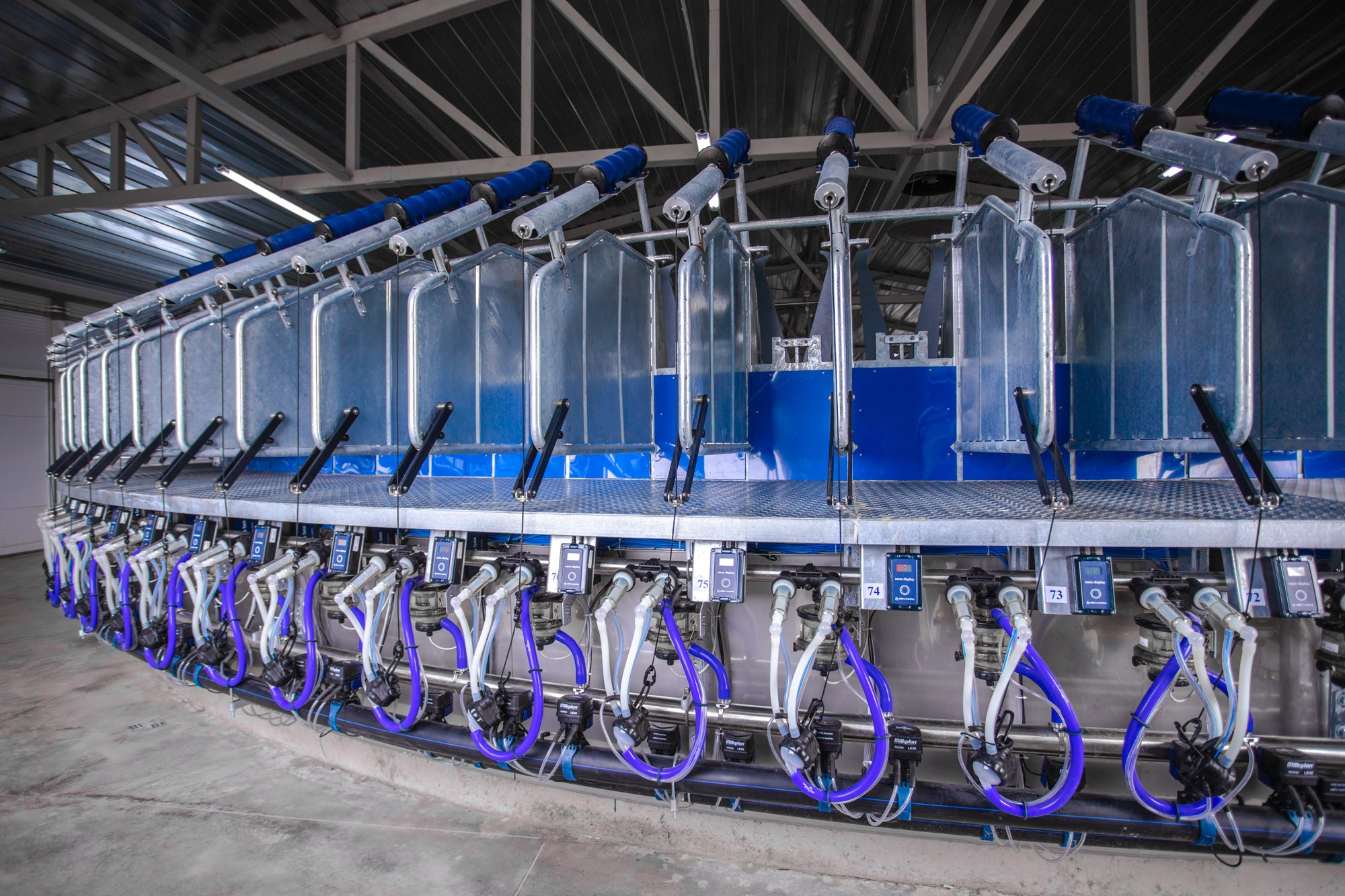 Открытие карусели для дойки скота. Репортажный, промышленный и маркетплейс-фотограф Дмитрий Чернат