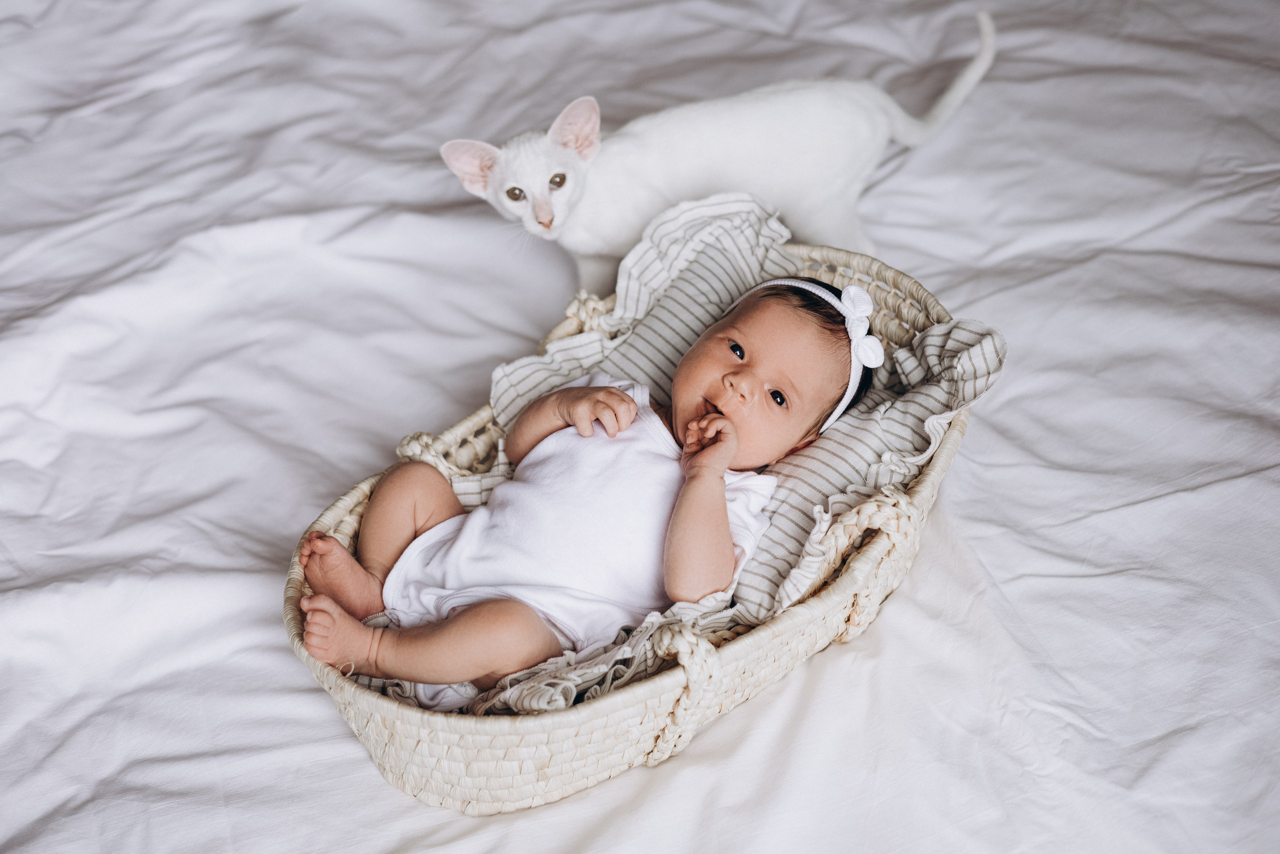 Натуральный. Фотограф новорожденных Новосибирск