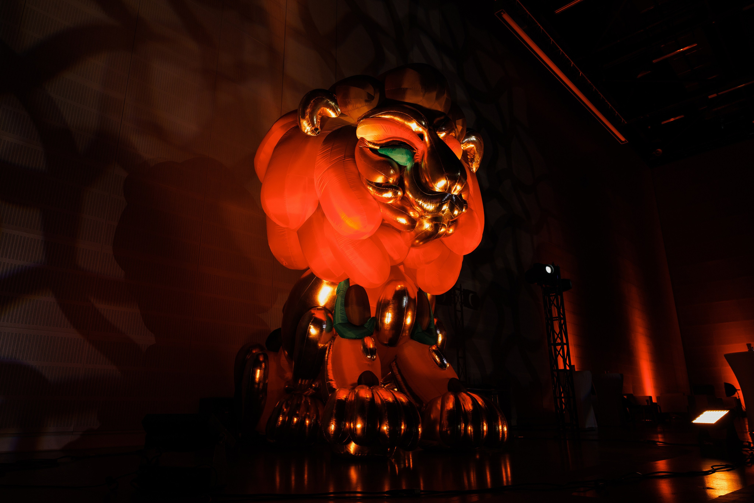 Альфа Конфа. Фотограф Ставрополь Петр Голубенко