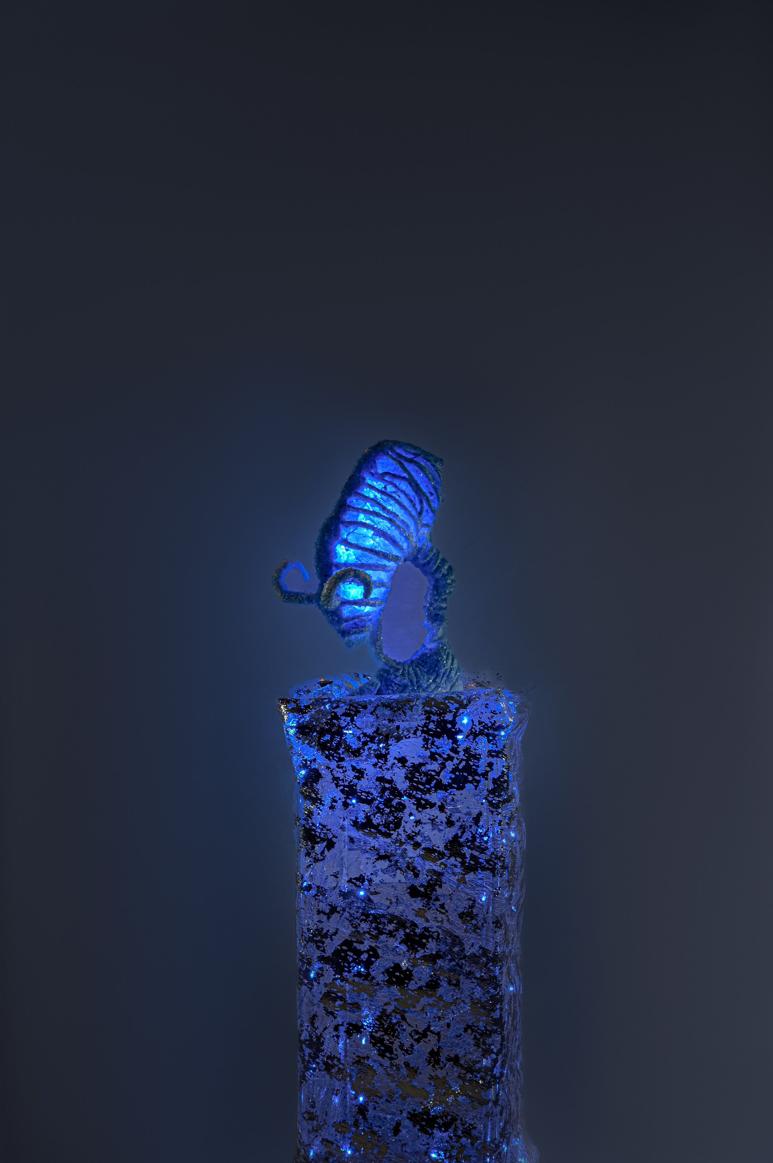 Проект «Призраки» 2024 - 2025гг.  Пиренейский козерог - 2000г. размер : стойка 60 см, фигура 25 см на 20 см. Пластик, люминесцентная акриловая краска, полиэтилен, стеклянная крошка, эпоксидная смола. В последние несколько десятилетий тема загрязнения окружающей среды и изменения климата получила широкую огласку. И тревога по поводу вымирания биологических видов не является надуманной.Но человек уже давно привык к таким новостям.Поэтому в своем проекте я не буду углубляться в детали этой проблемы. Моя цель – показать исчезнувшие виды животных, которые мы потеряли в последнее время. Это «призраки» из пластика и полиэтилена, хотя не так давно они были сильными, дикими и свободными животными. К каждой работе дана подпись с указанием вида животного и официального года его исчезновения.