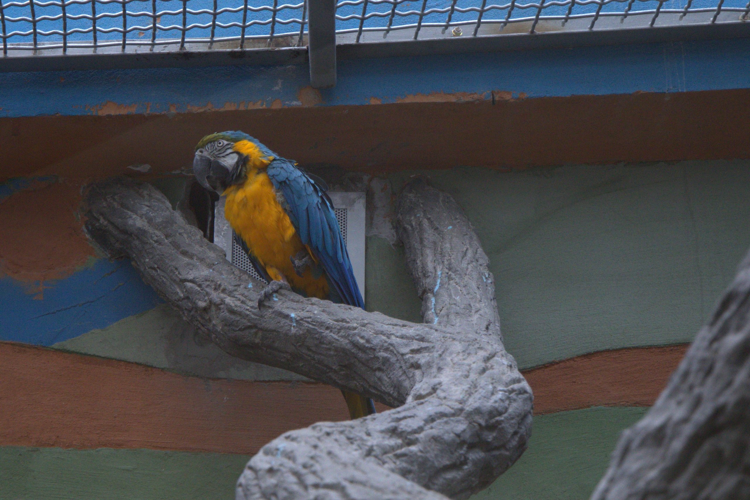 ЗООПАРК. ФОТОГРАФ В МОСКВЕ СТАНИСЛАВ КОБЗЕВ