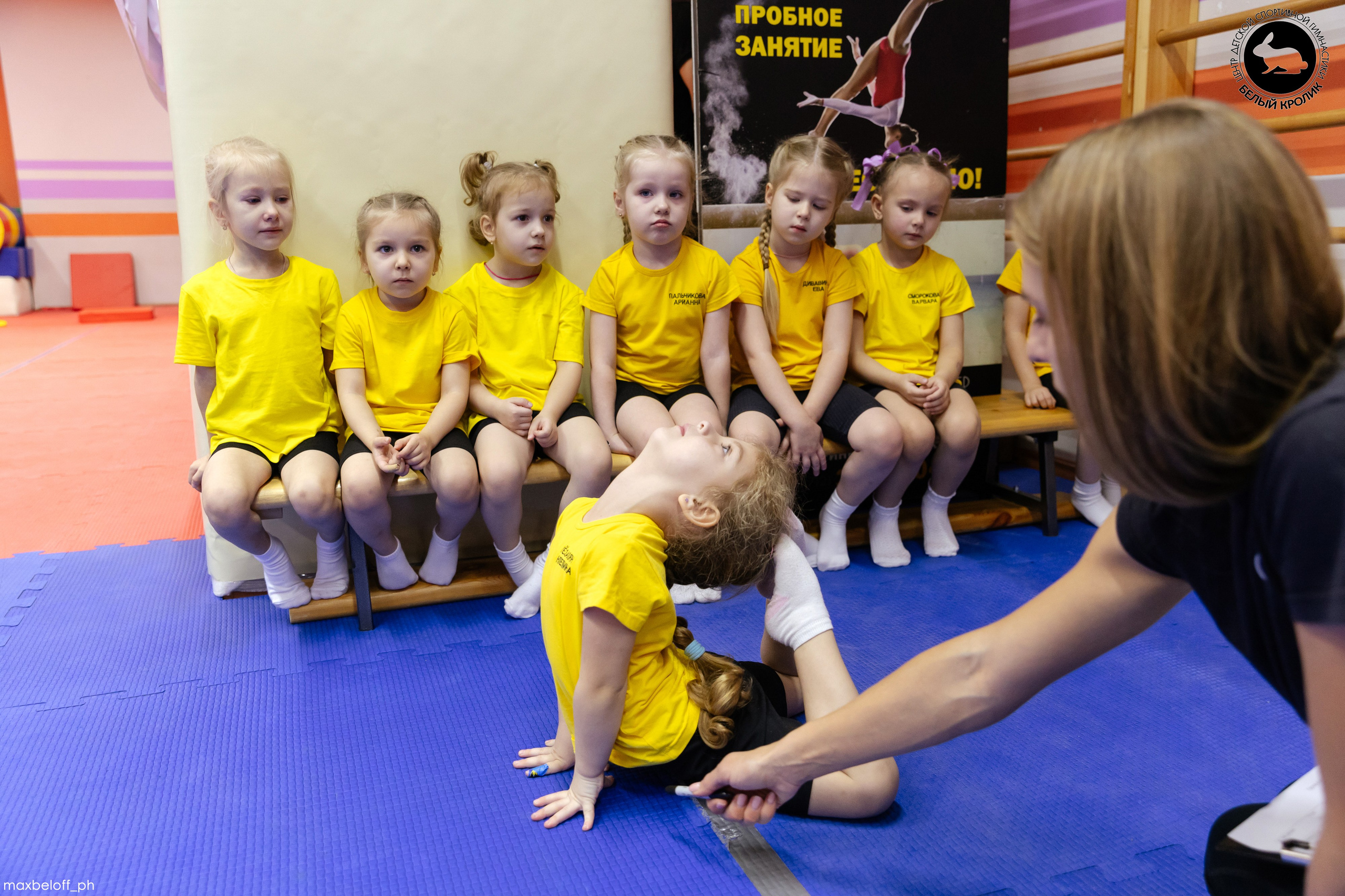 Белый кролик. Соревнования. Семейный фотограф — Макс Белогрудов