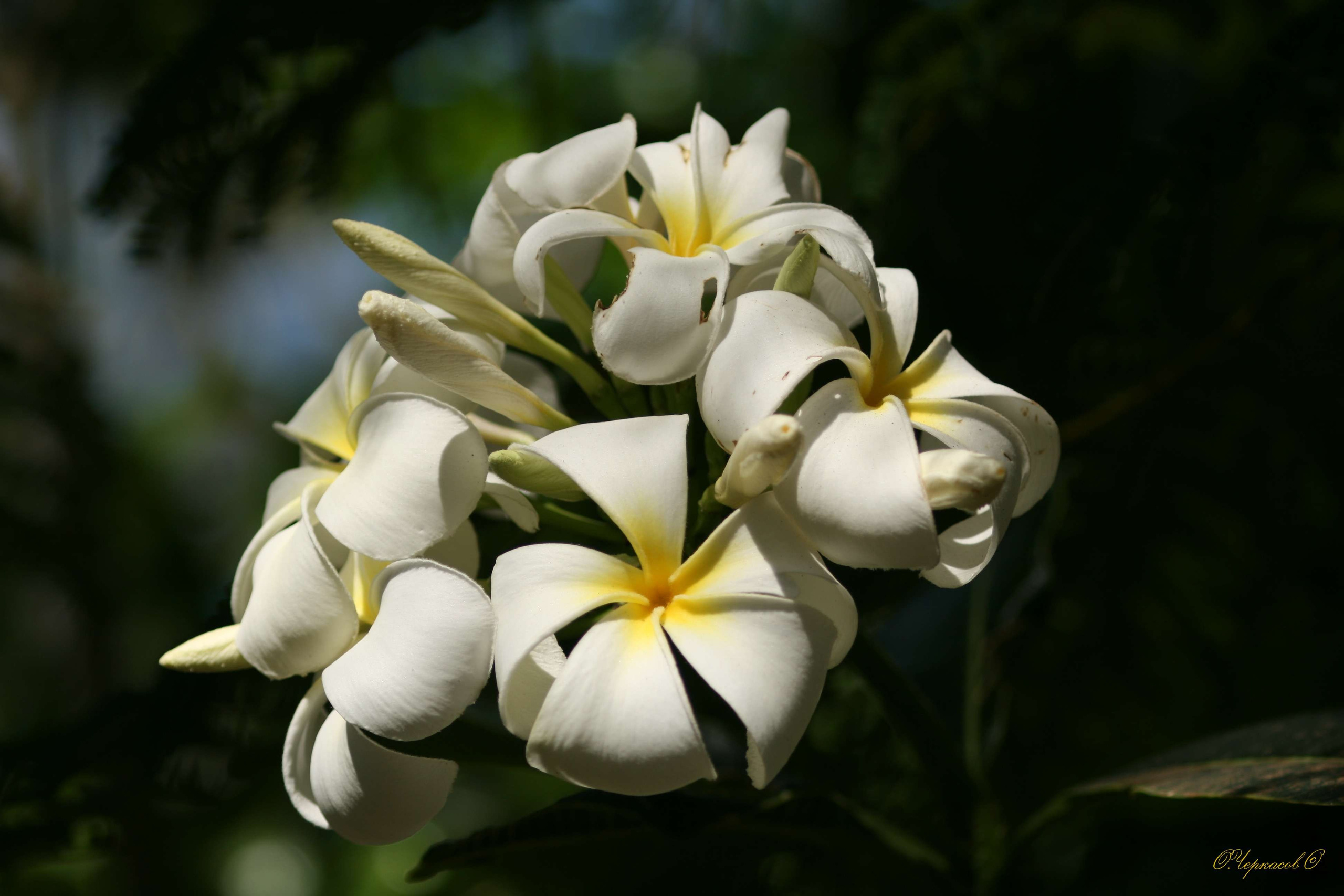 Вьетнам 2008 г. Улица, люди, жизнь…