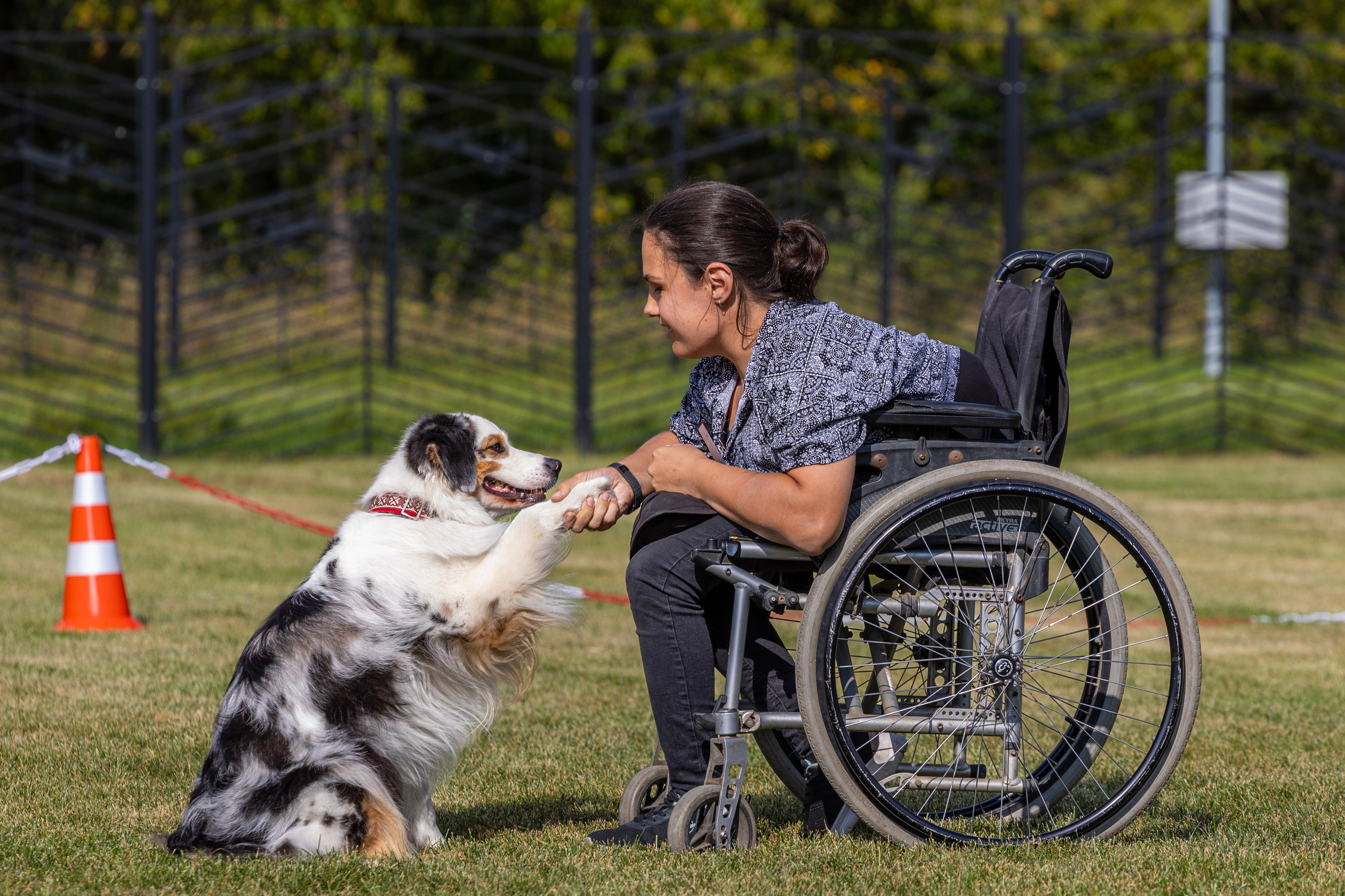 Съемка мероприятия: конкурс по танцам с собаками. Фотография. Юрий Савин