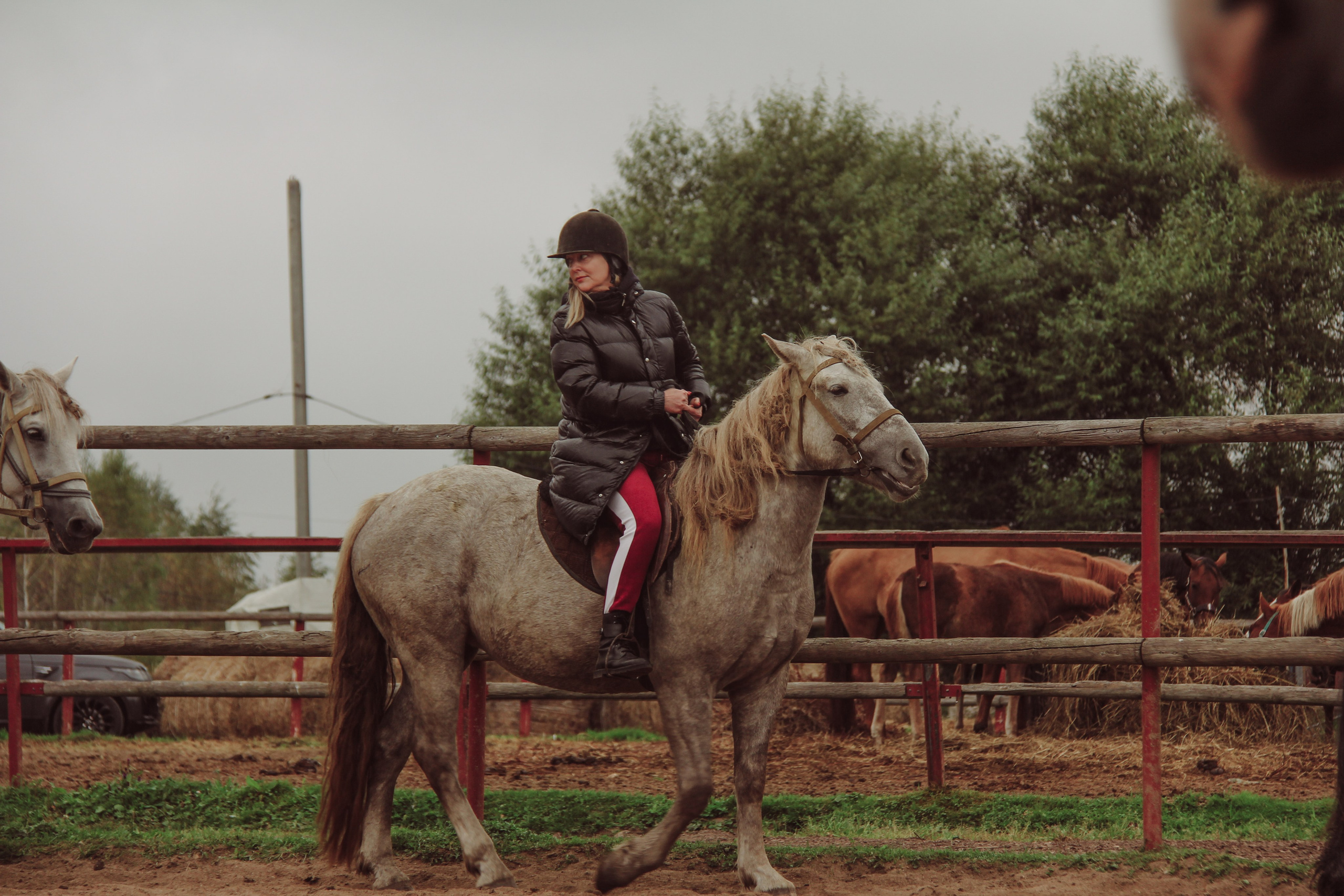 Лошадинг | 27.09.2025. Галерея Фантим