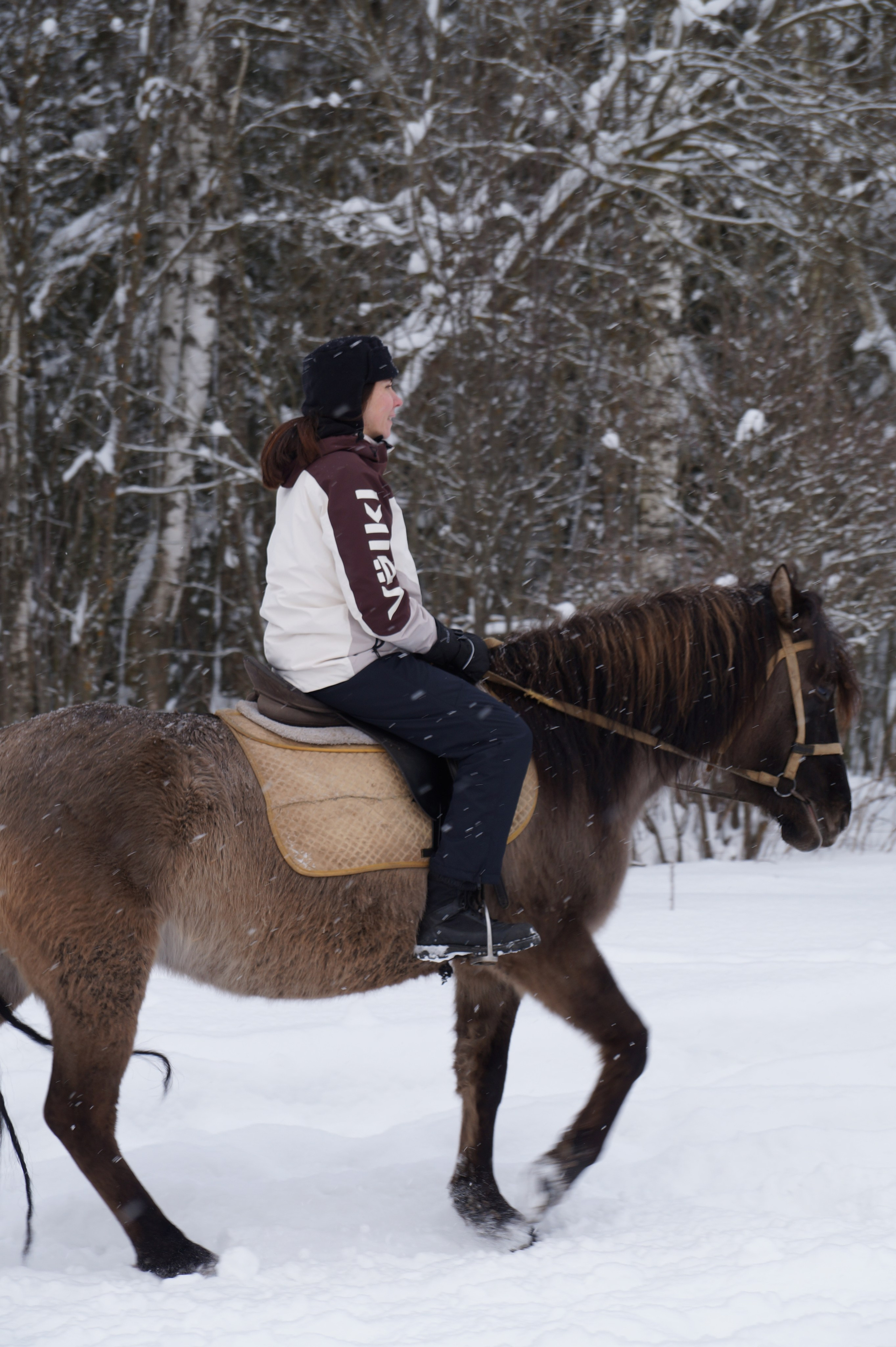 Лошадинг | 11.01.2026. Галерея Фантим