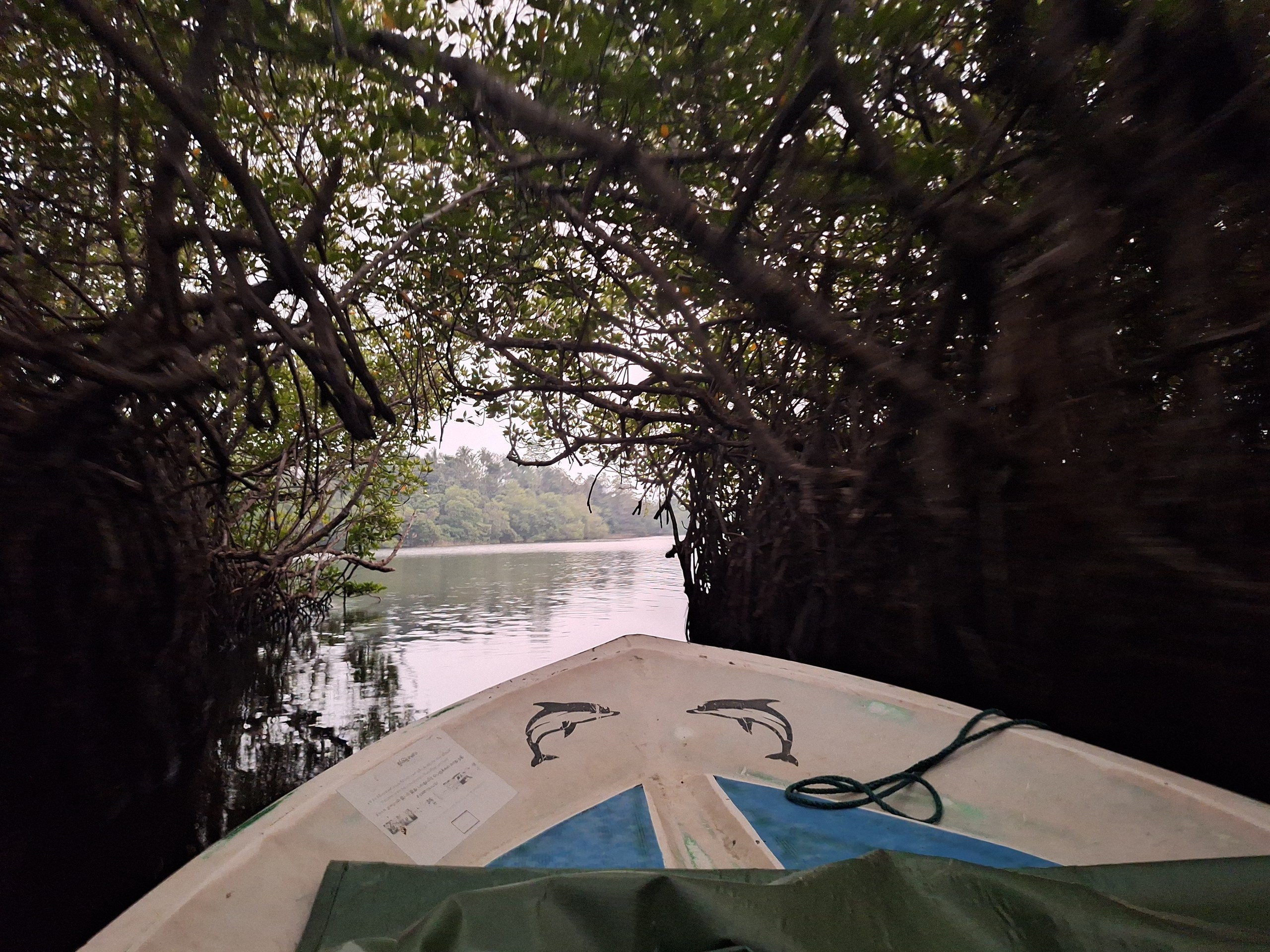 Шри-Ланка | 31.01 — 10.02.2025. Галерея Фантим