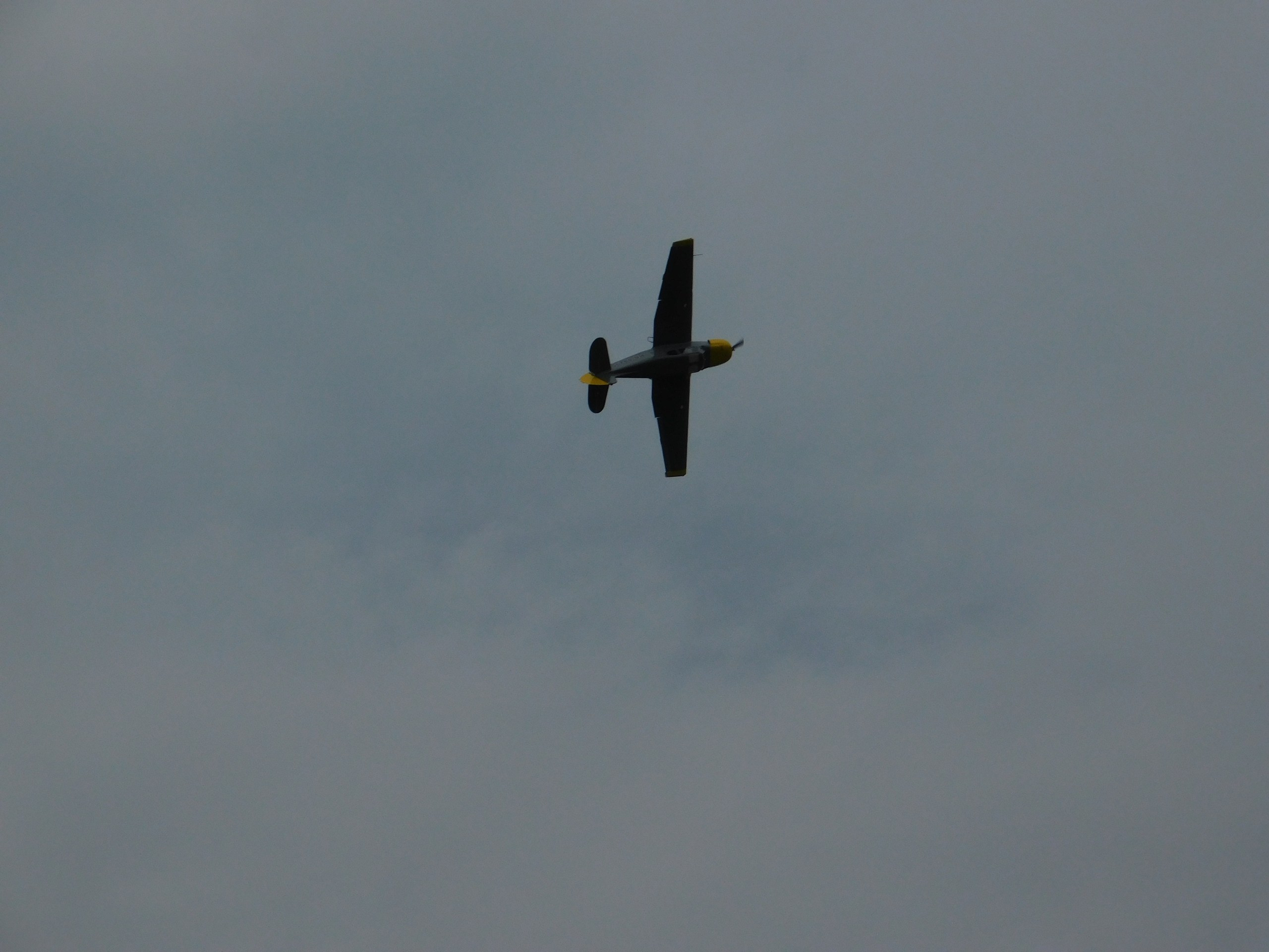 Чудеса на виражах. Полеты | 26.07.20. Галерея Фантим