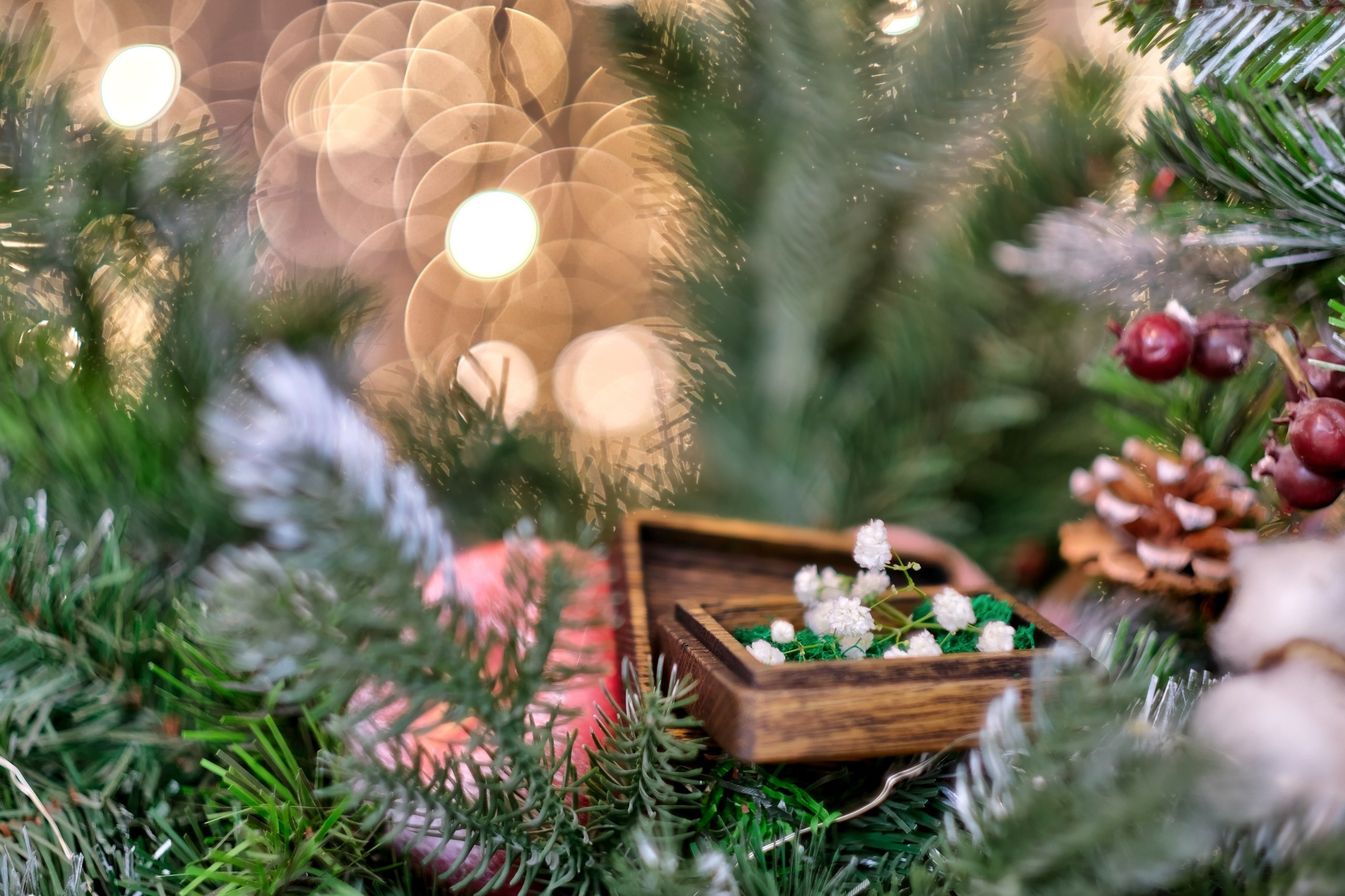 2555 страниц нежности. Организация свадеб под ключ в Архангельске и Северодвинске