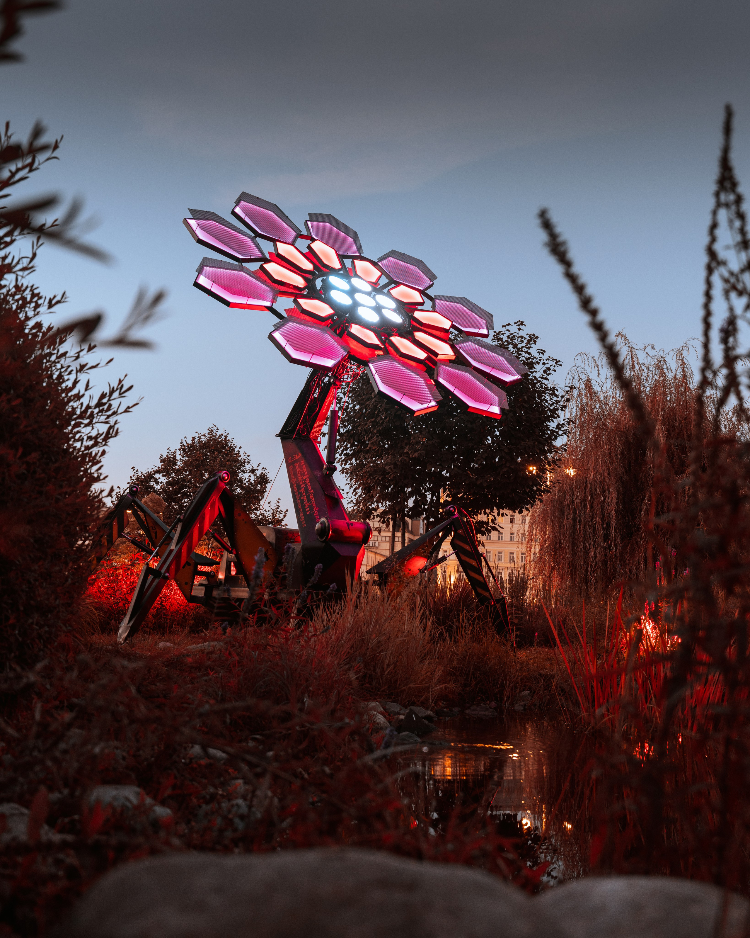 PANTERRA, Cyber Flower. @tomrus: Рустам Шагиморданов — фотограф