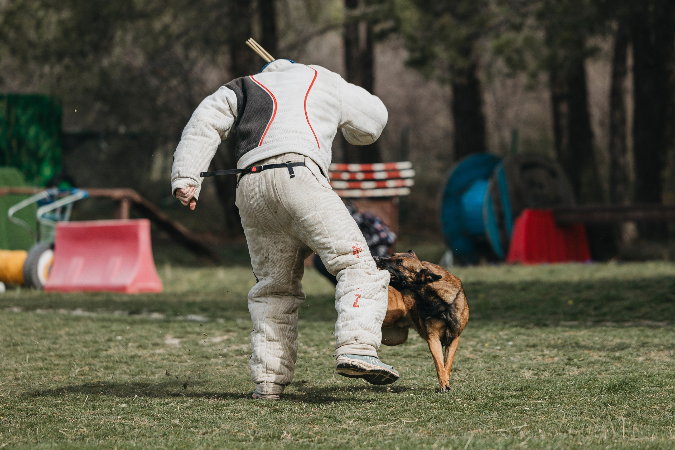 Геленджик Мондьоринг. Фотограф-анималист Анна Маринич