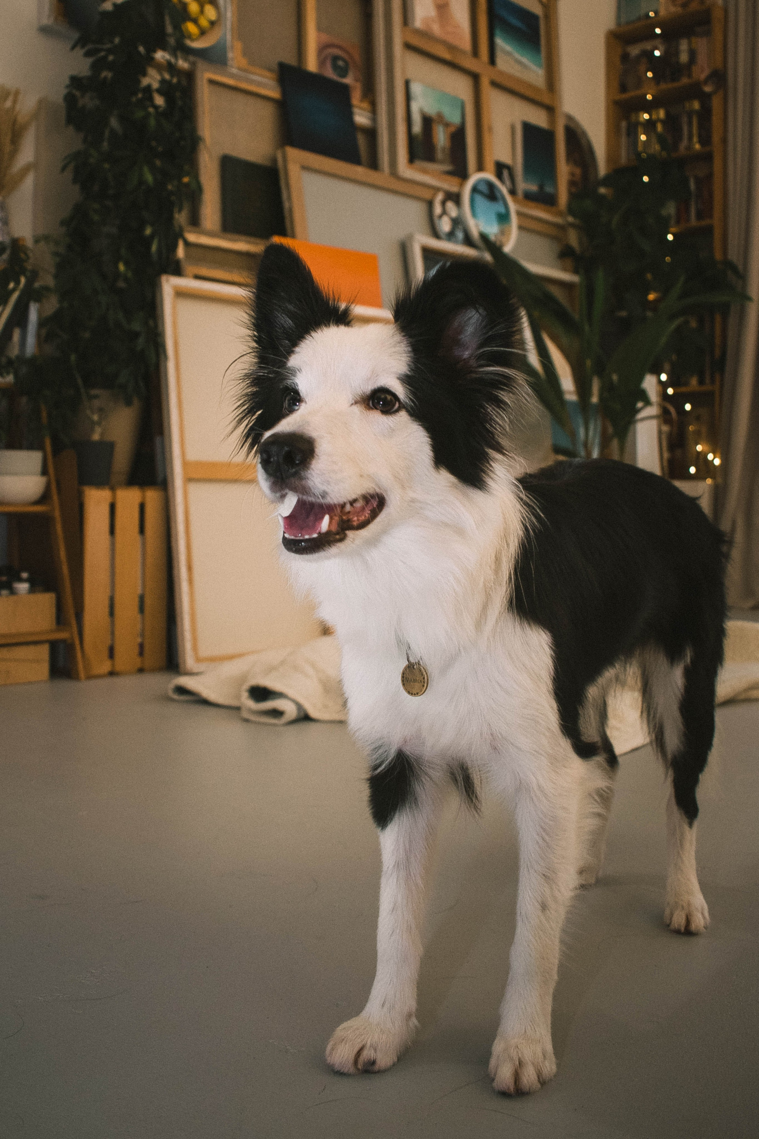 Фотограф Оля Зорина Санкт-Петербург