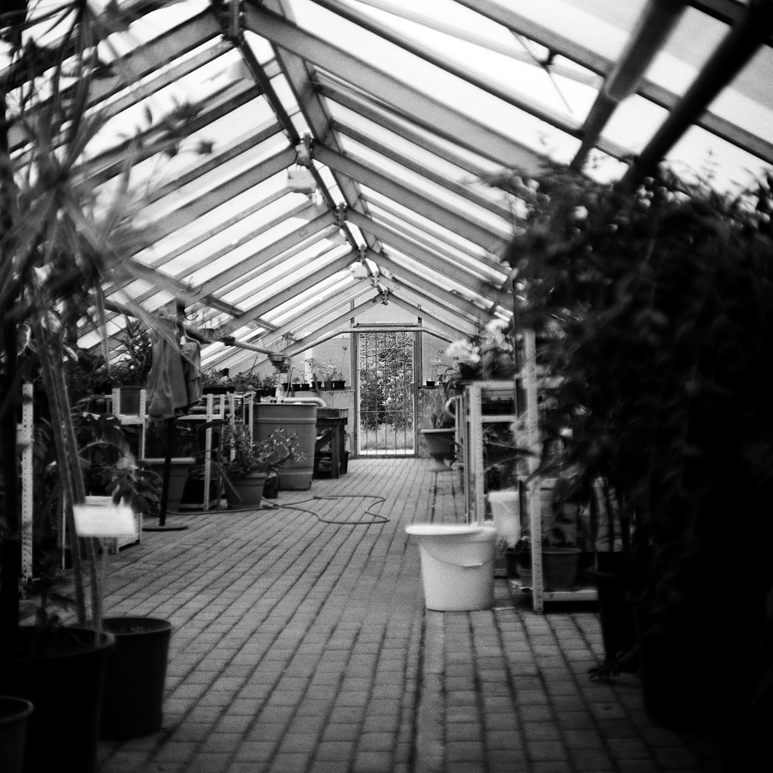 Journal. Photographer Dima Sharov | Фотограф Дима Шаров