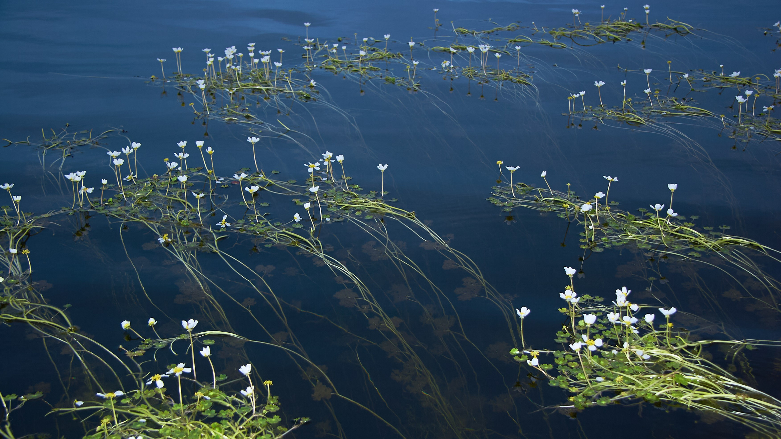 Водоемы. Пейзажи Крайнего Севера. Баренцево море, Рыбачий, Средний, Немецкий
