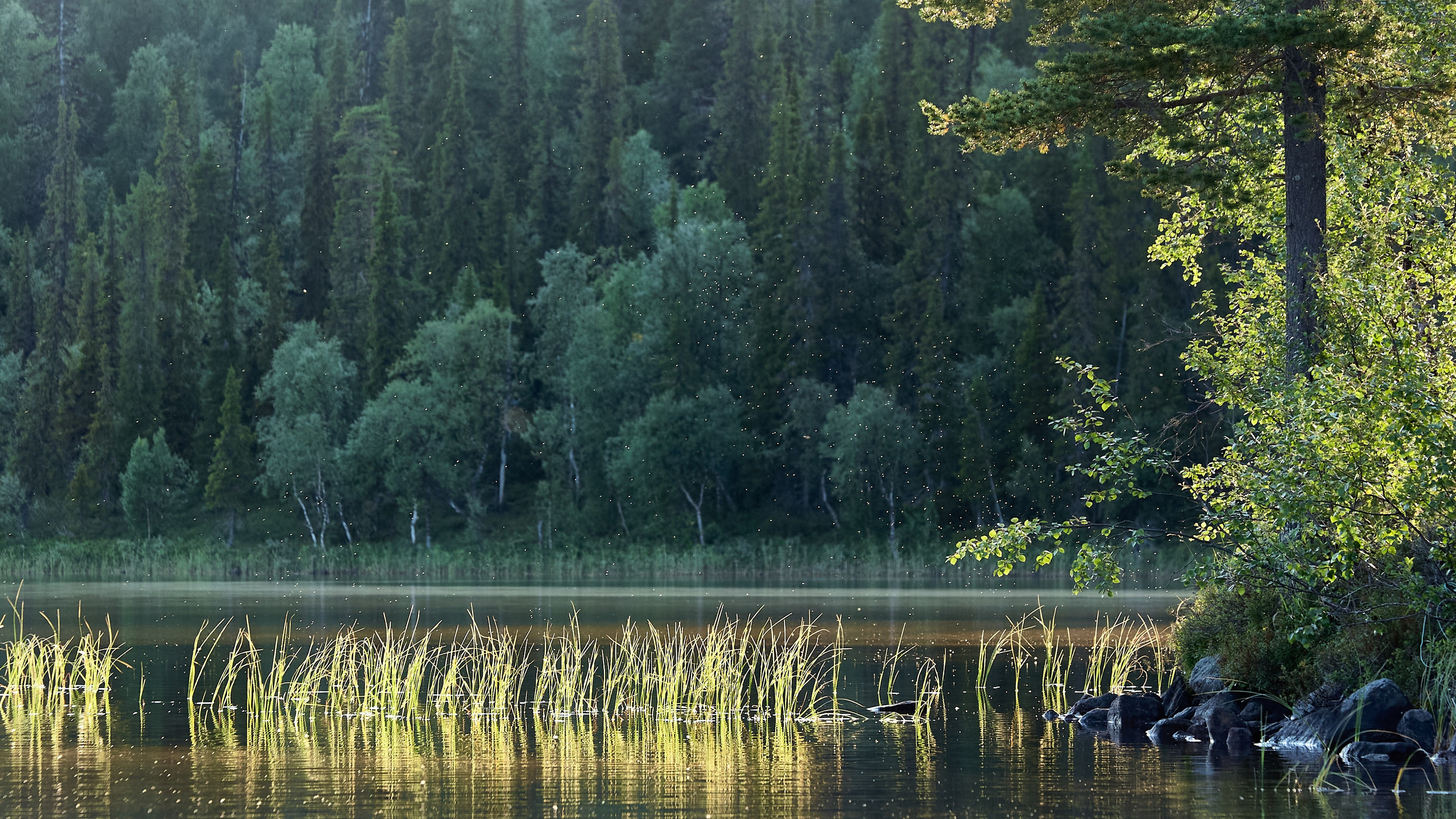 Водоемы. Пейзажи Крайнего Севера. Баренцево море, Рыбачий, Средний, Немецкий