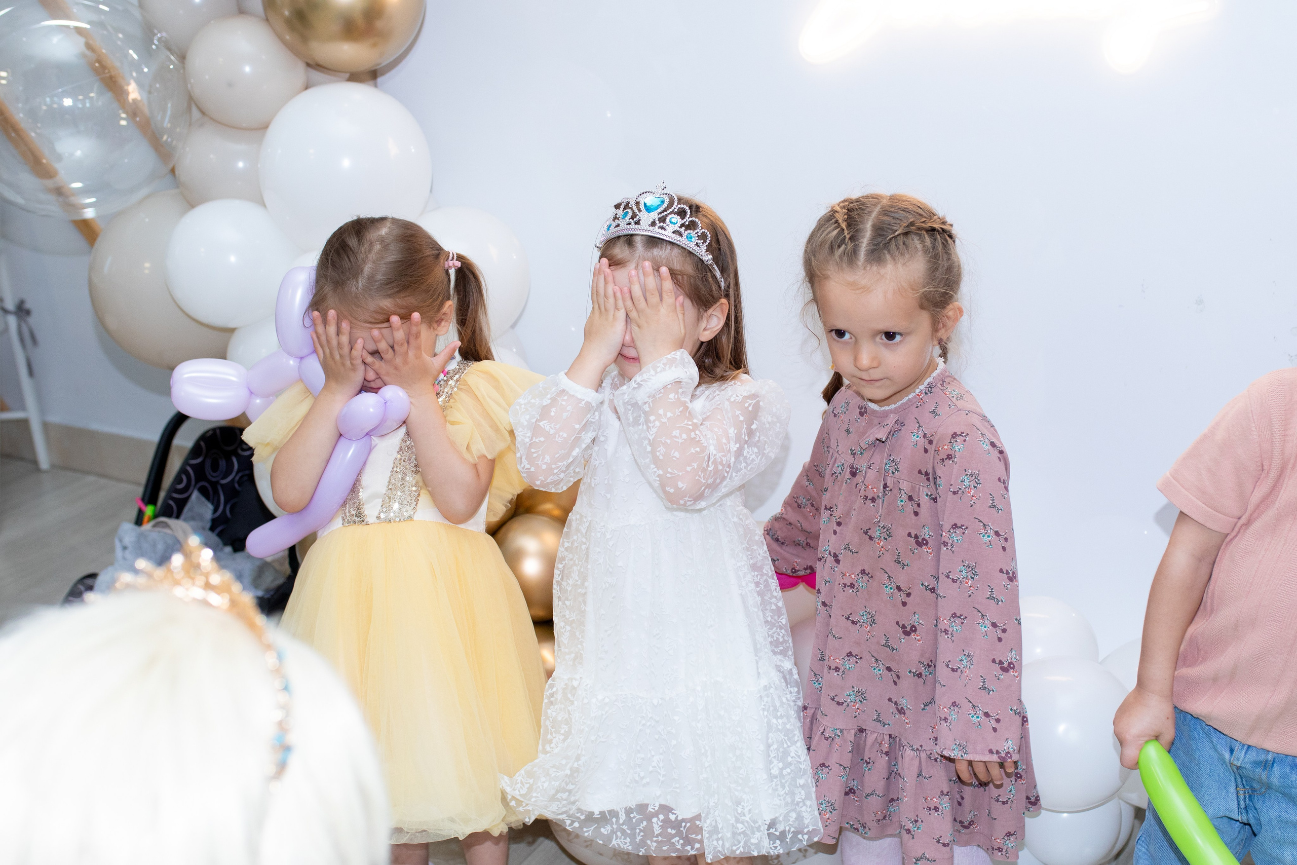 Доммик -Эльза. Фотограф в Новосибирске Ася Зверева