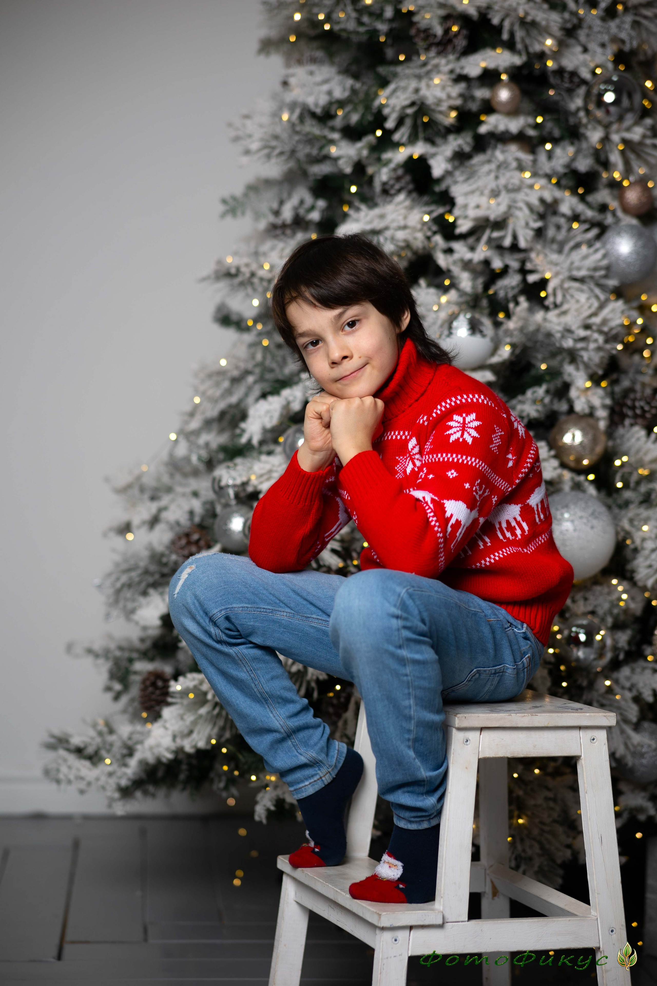 Новогодние. Фотографы Евгений и Екатерина. Фотофикус. Тюмень