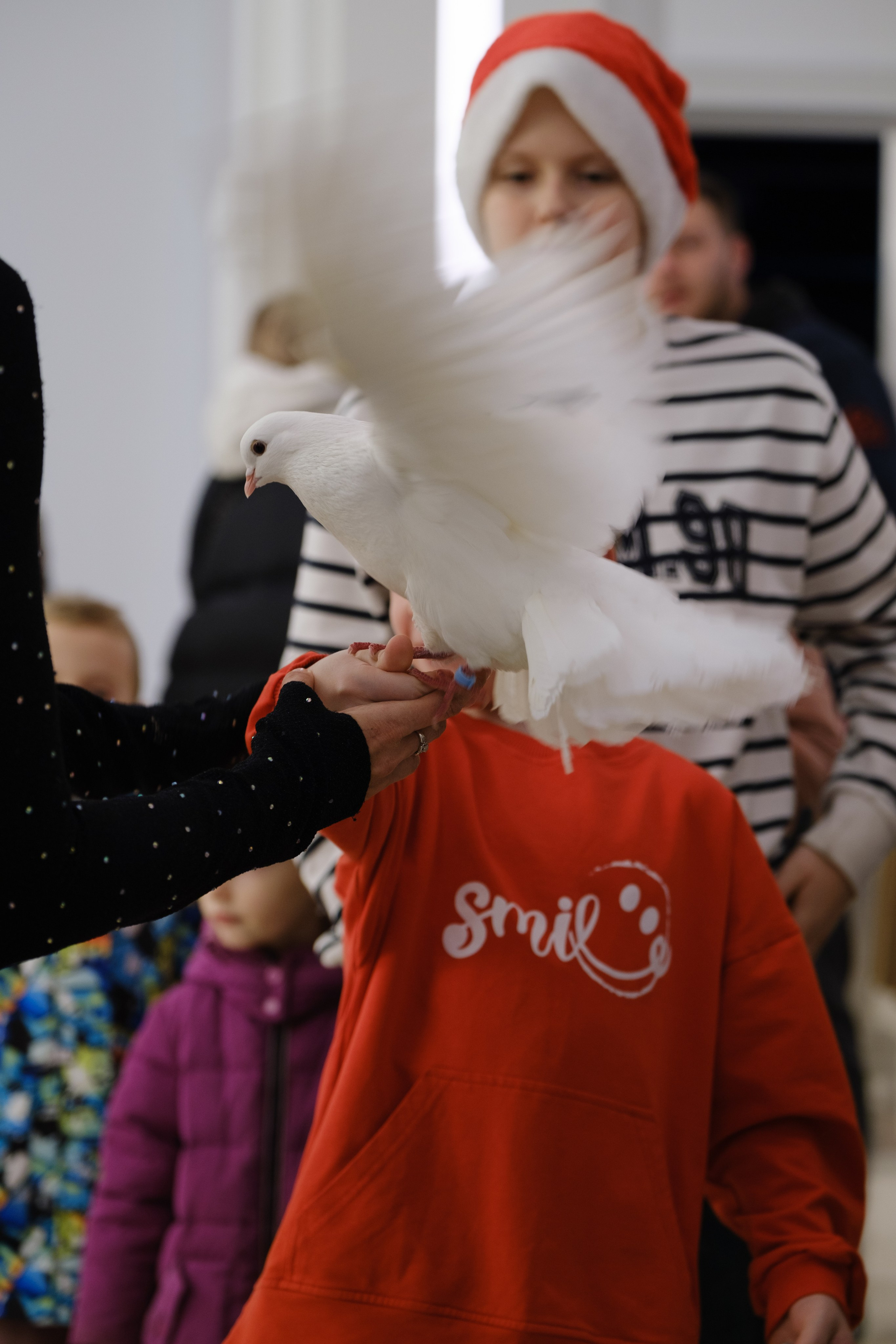 Новогодний репортаж из парка «Новый Херсонес» | Фотограф Илья Желдак. Профессиональная фотосъемка в Крыму. Натуральные эмоции и живые кадры. Забронируйте дату прямо сейчас!