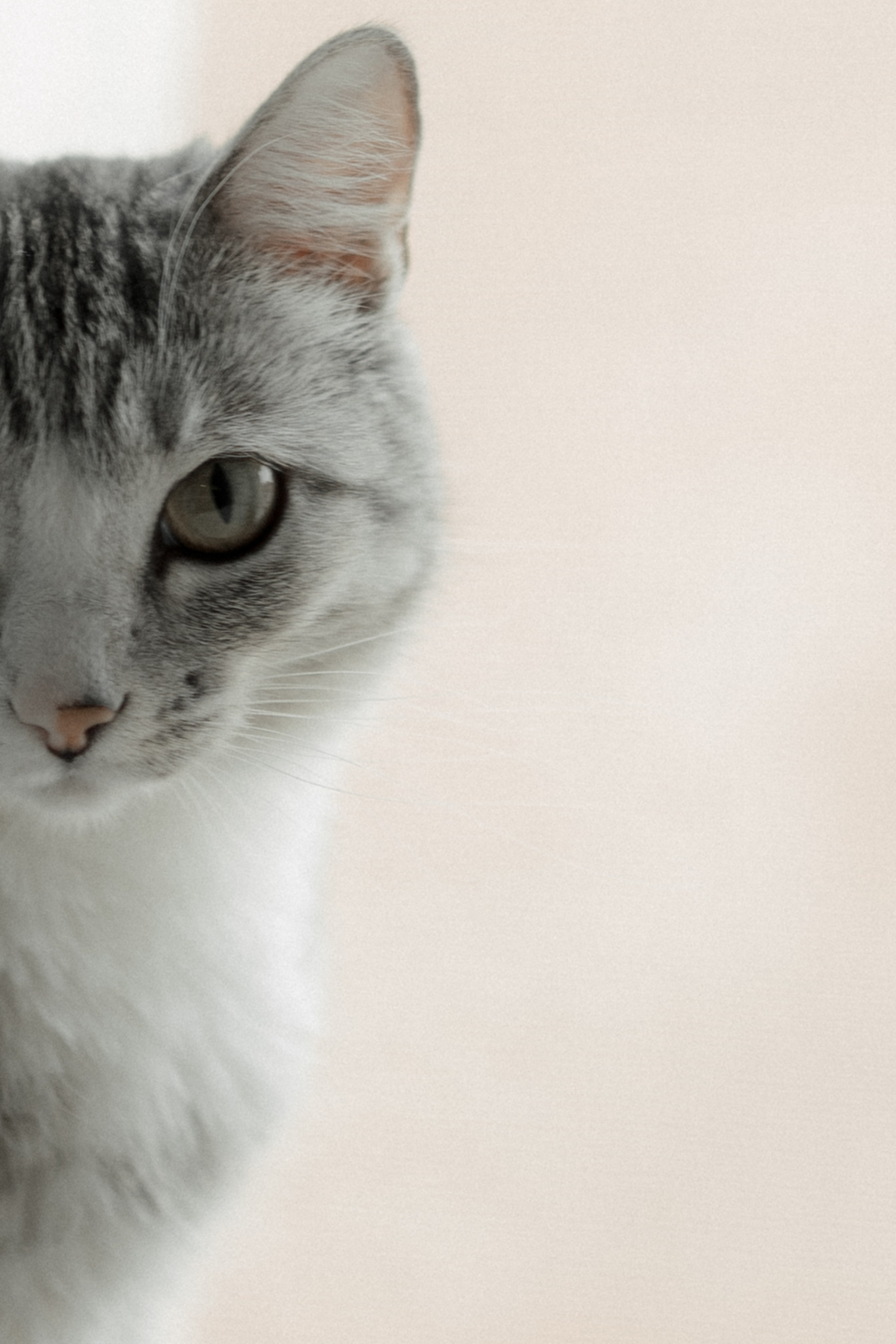 Добро пожаловать!. Женский и свадебный фотограф Москва Елизавета Перова