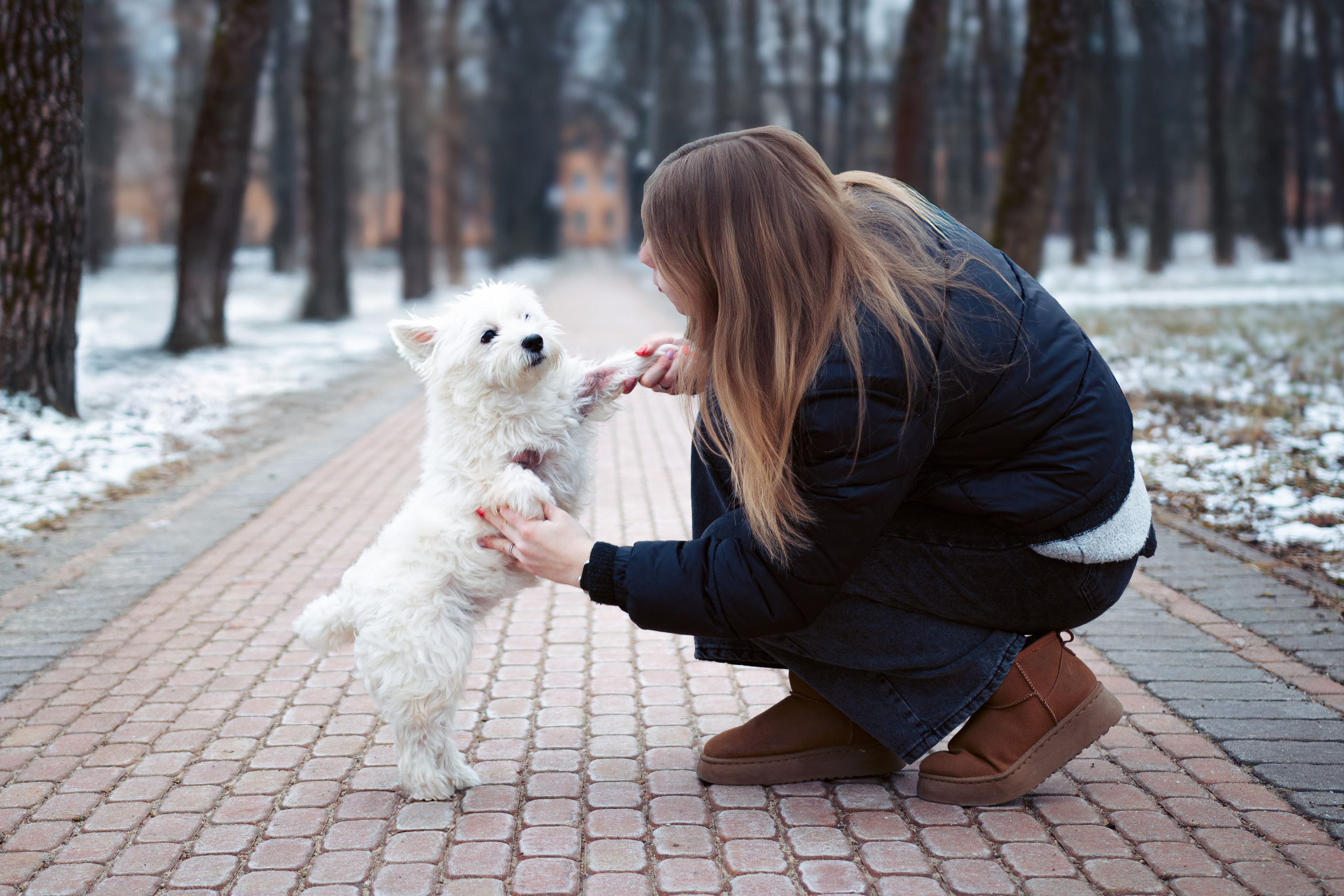 Фотосессия с щенком Минск