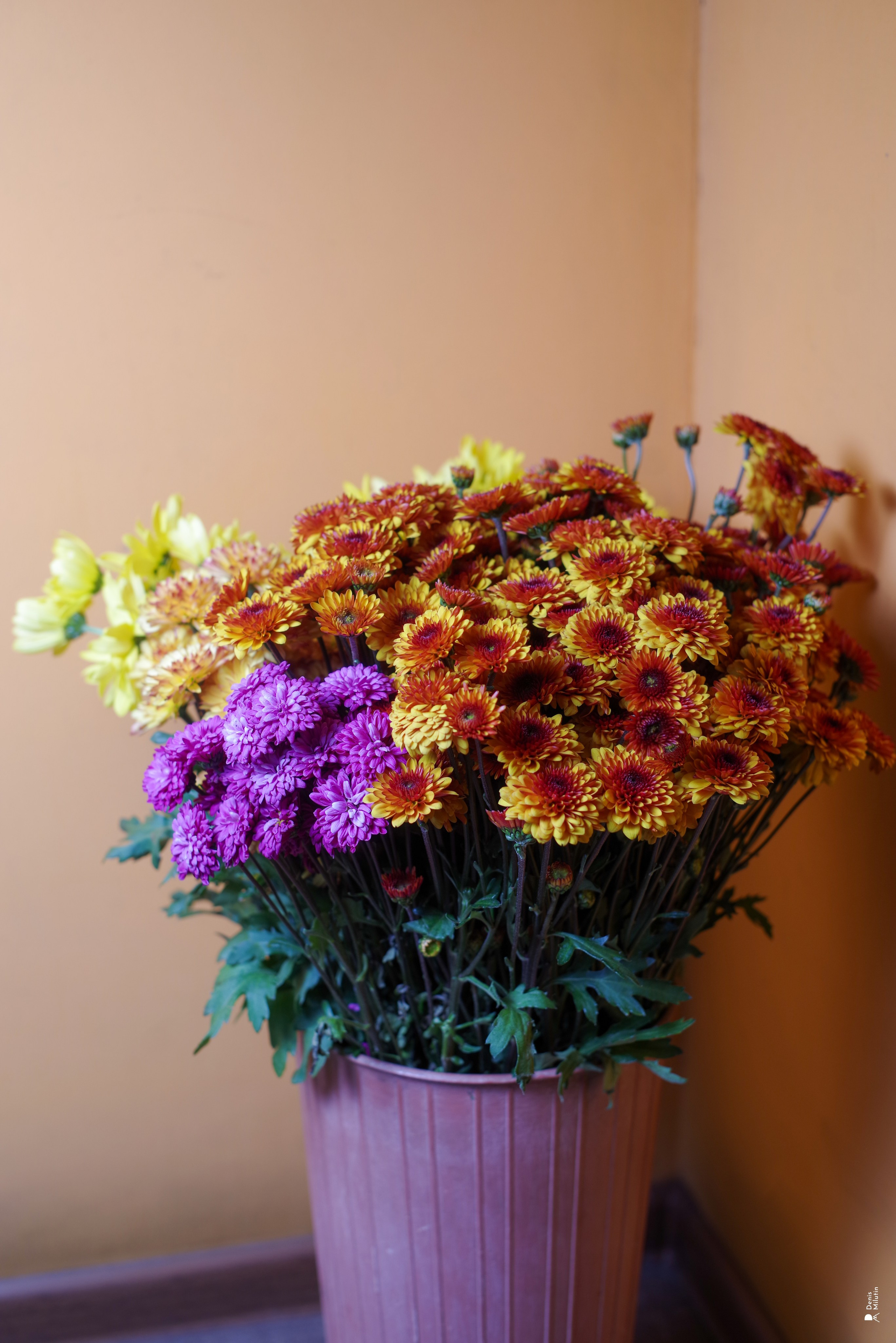 Салон цветов. Портретный фотограф Денис Милютин