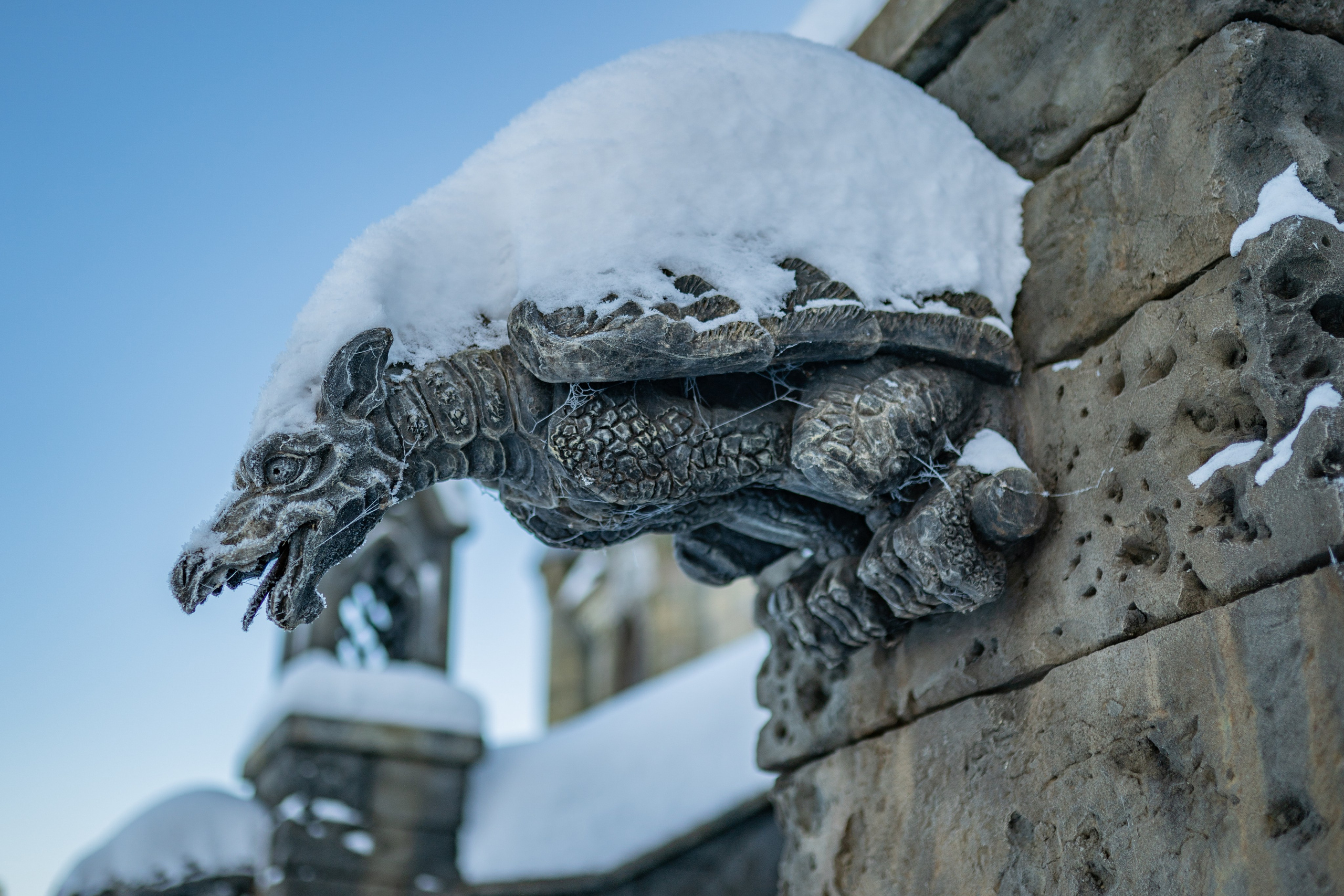 Новогодняя фотосессия в Замке Гарибальди. Фотограф Батурин Денис — Фотосессия в Замке Гарибальди