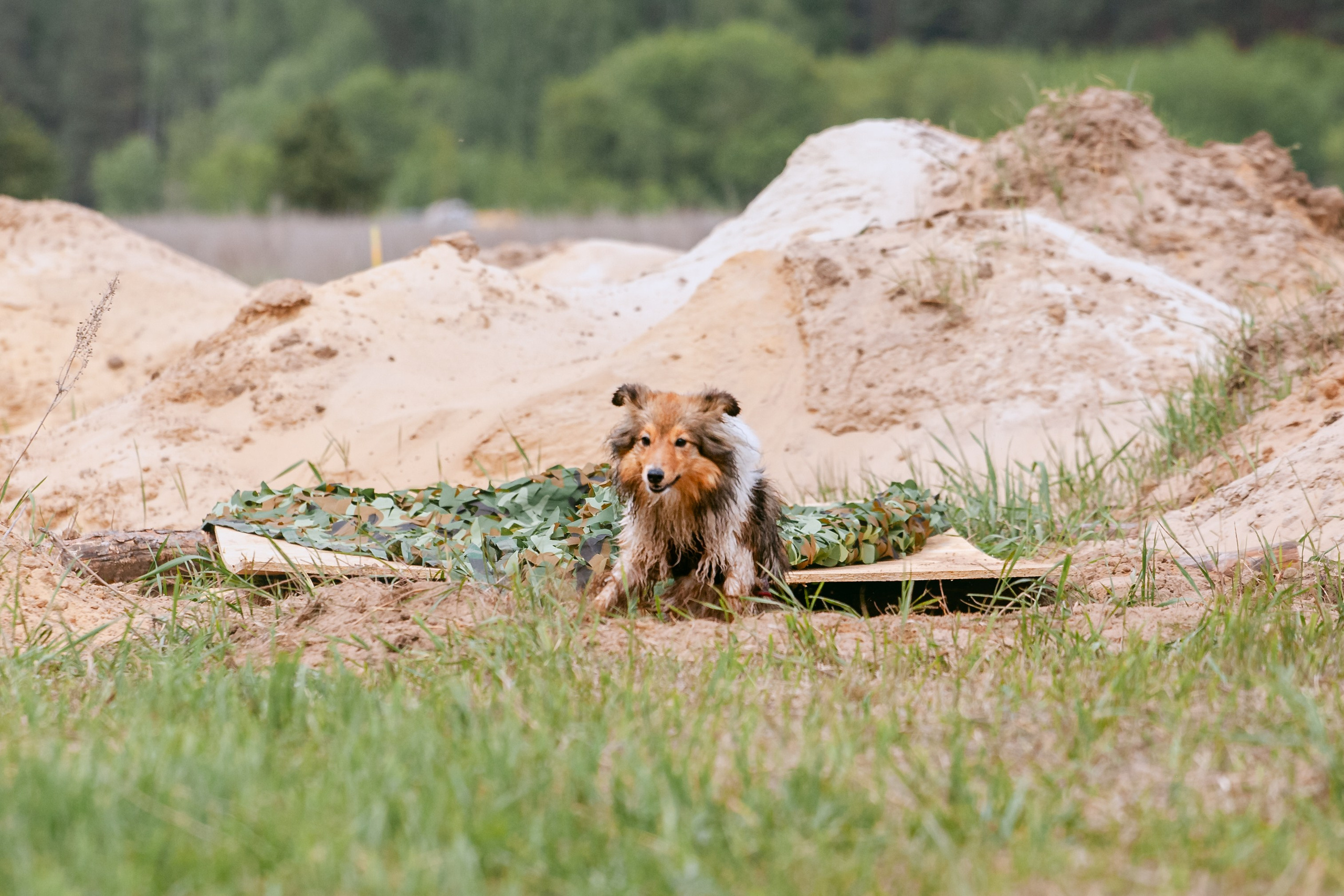 Русский экстрим кросс в Рязанской области 17.05.2025. Фотограф-анималист Татьяна Степанова