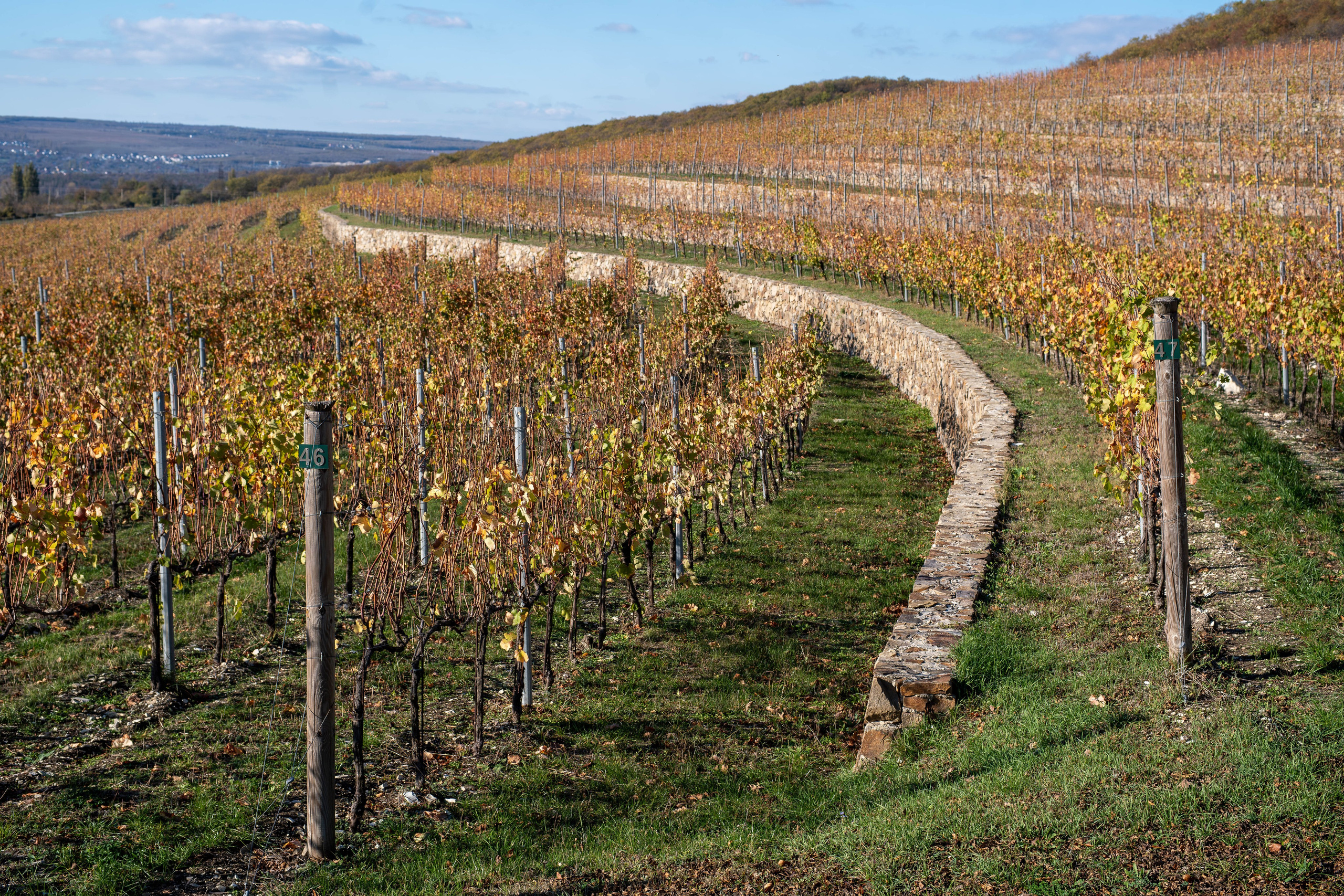 Литературная мастерская с Ольгой Шутовой в «Винотеррии». Репортажный фотограф в Красной Поляне и Сочи Павлюченко Екатерина