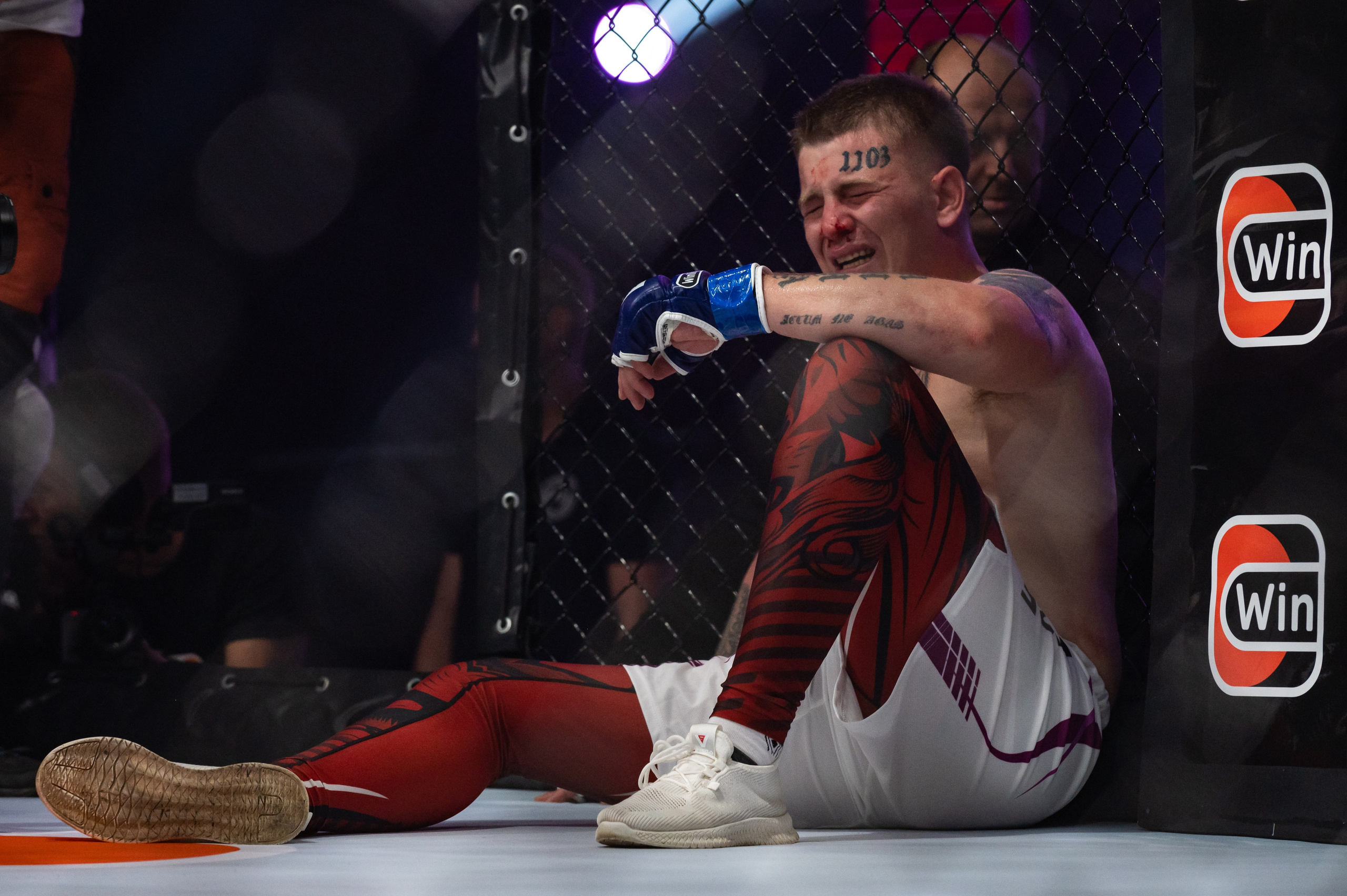 Бои. Репортажный фотограф в Красной Поляне и Сочи Павлюченко Екатерина