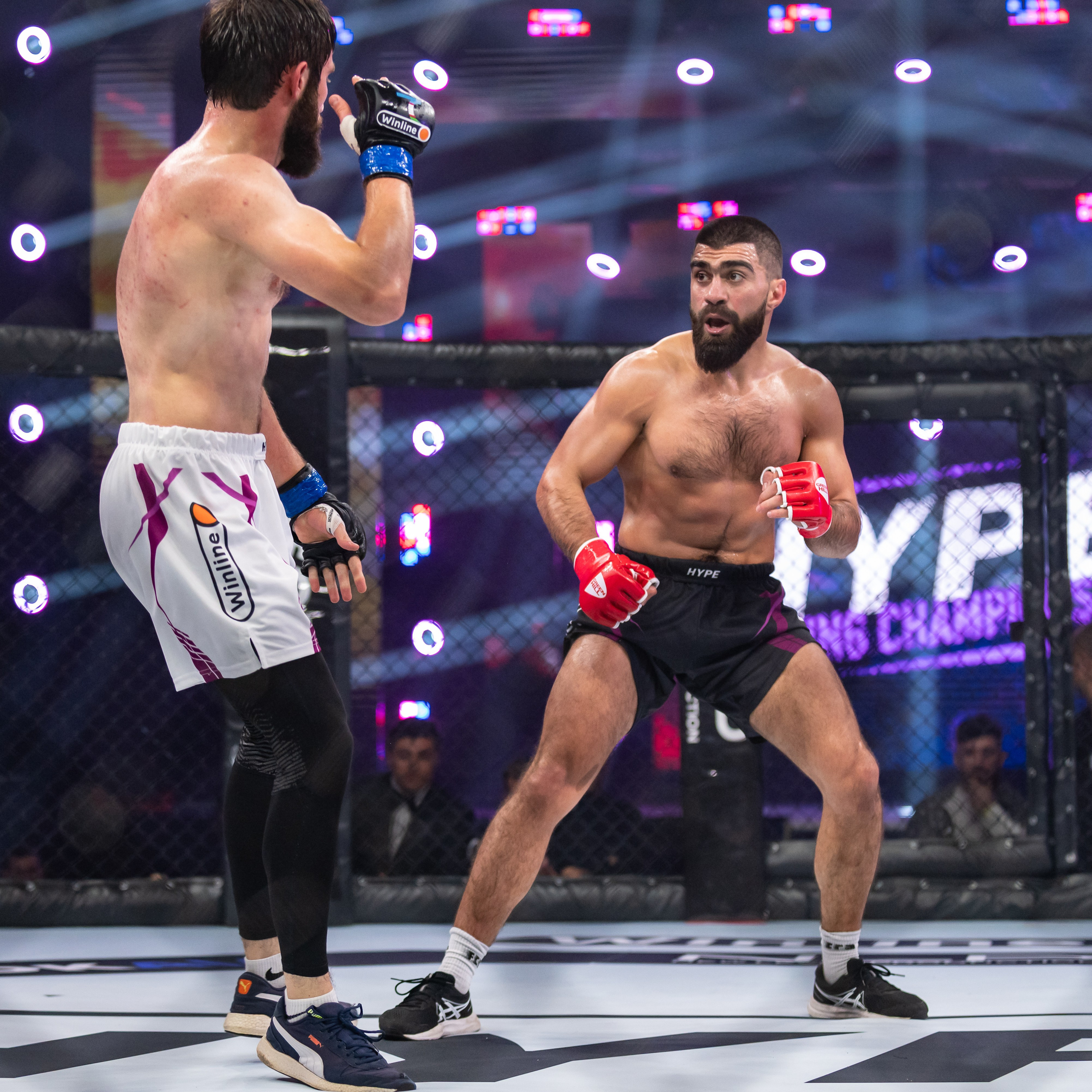 Бои. Репортажный фотограф в Красной Поляне и Сочи Павлюченко Екатерина