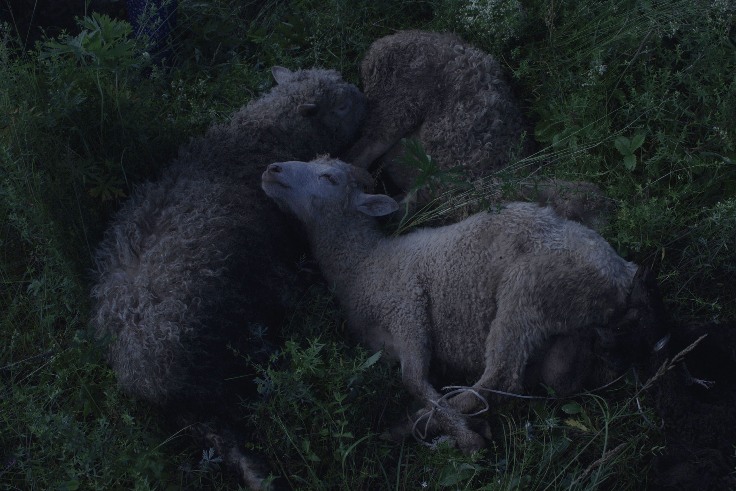 Подземная река. Дмитрий Ермаков. Фотограф