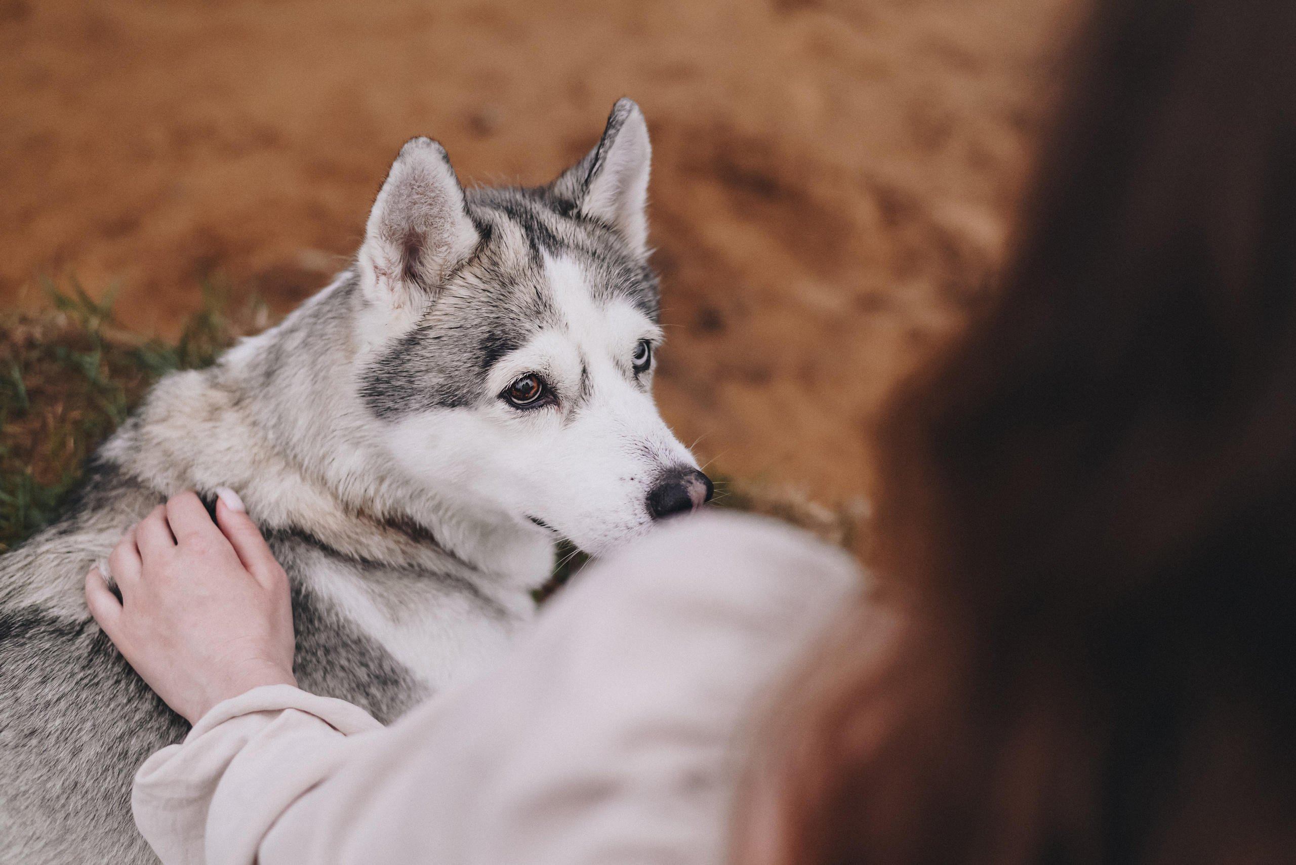 Lilya & Eva. Natalia Finch Photography — Family, Kids & Pet Photographer in Chicago, IL