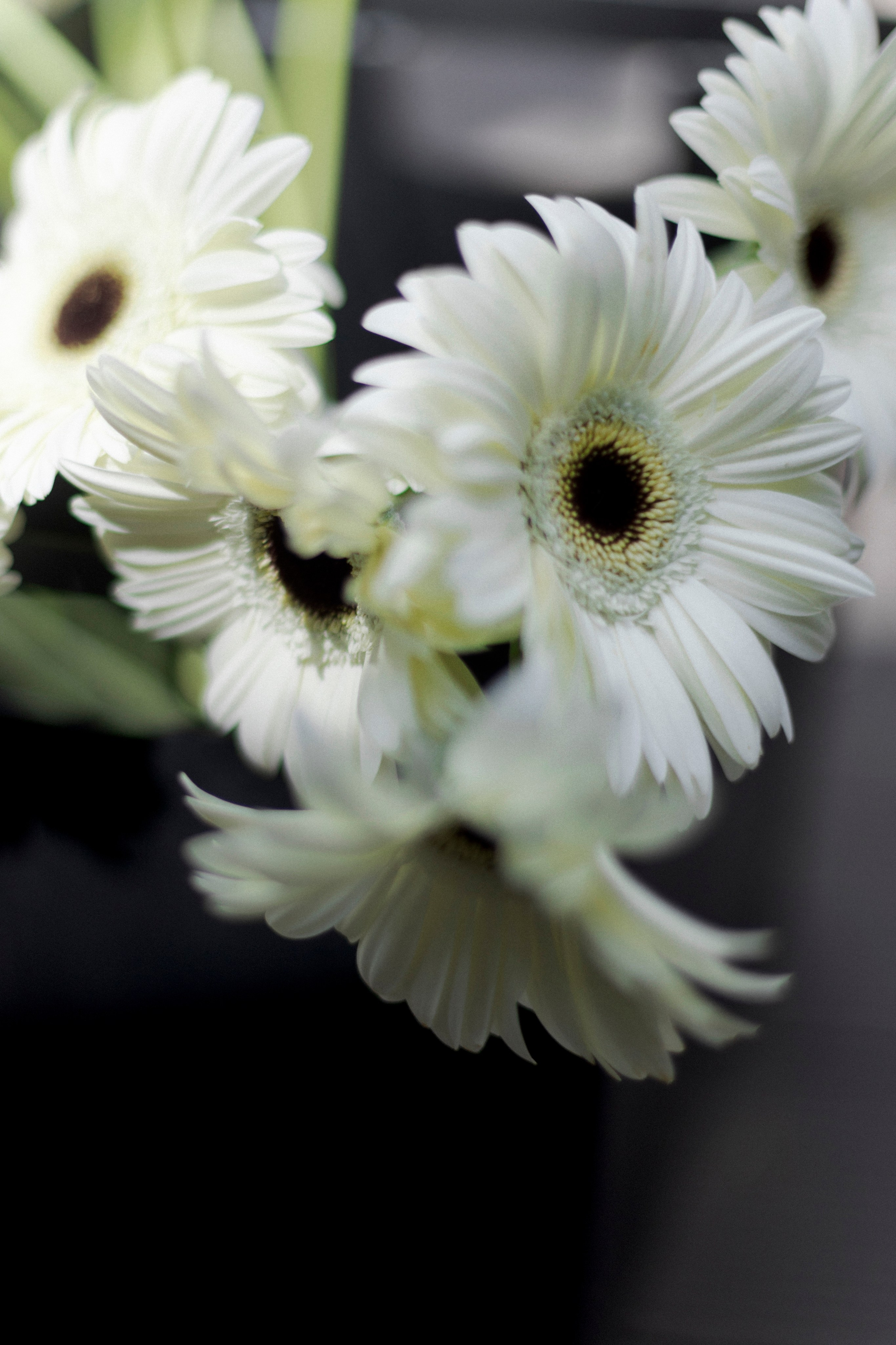 Игорь и Карина. Свадебный и семейный фотограф в Новокузнецке Кемерово Новосибирске Богульская Ульяна