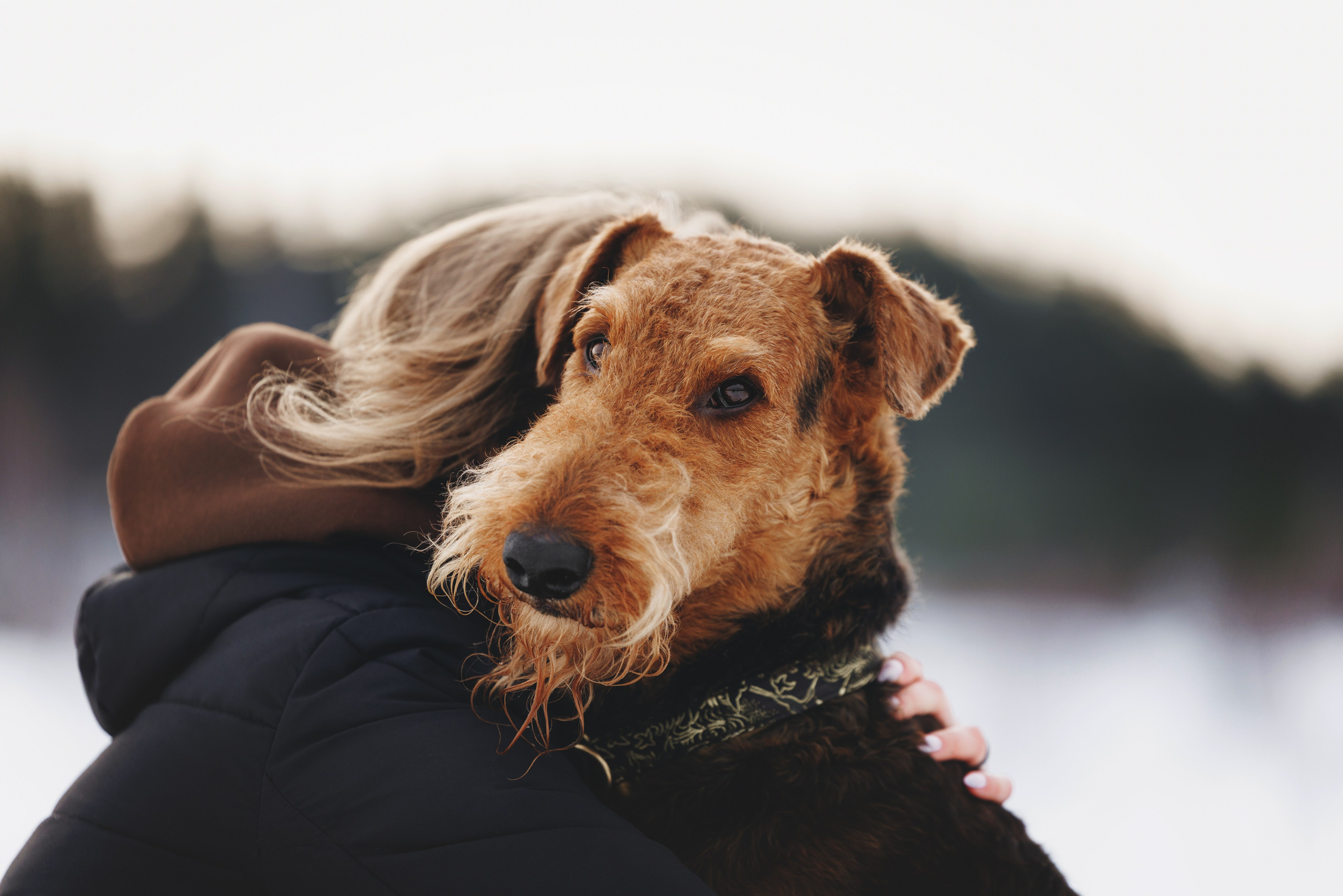 Оля и Хард. Фотограф анималист Осипчикова Мария