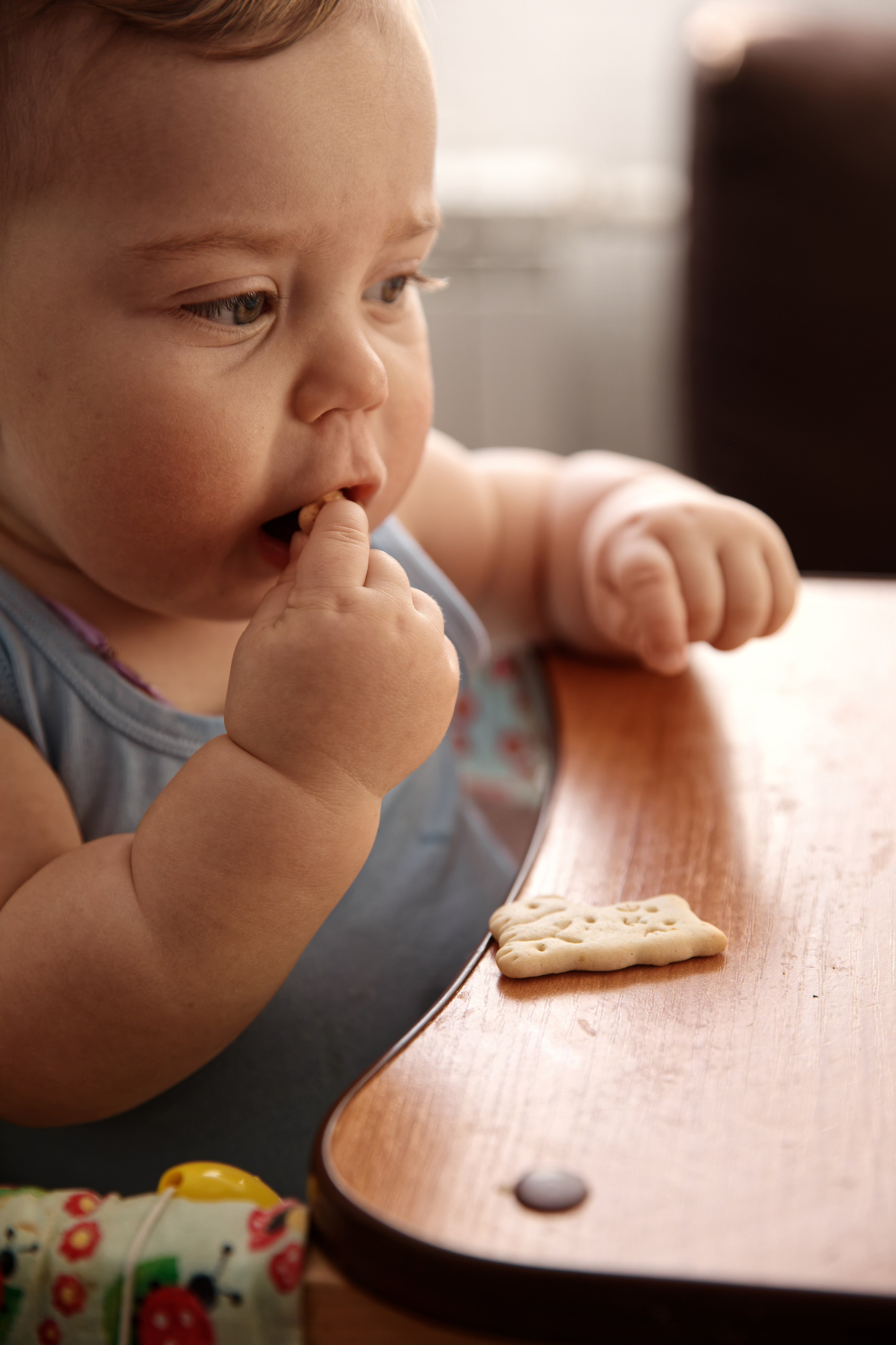 Семья Гуторовых. Семейный фотограф — Макс Белогрудов