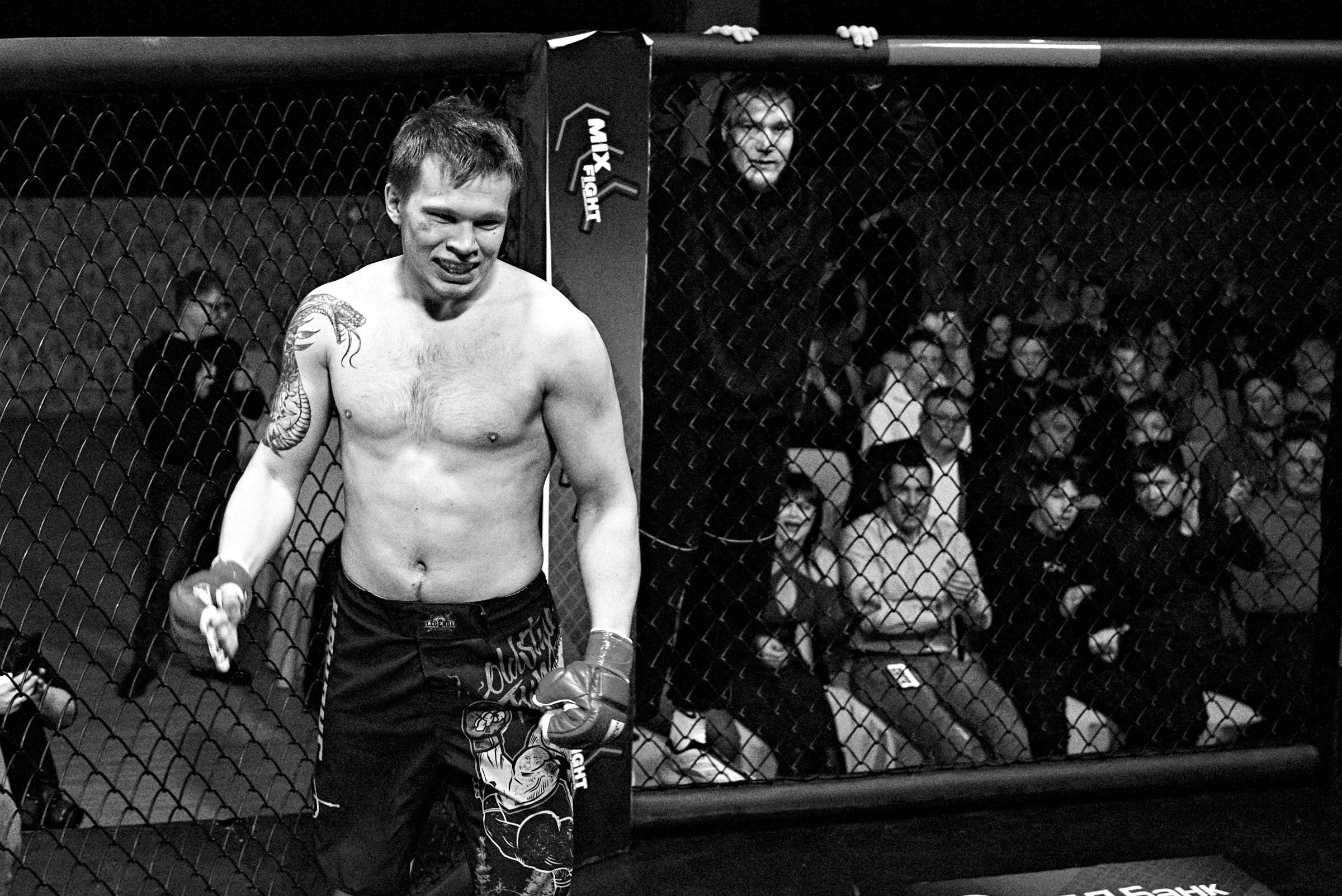 Бои. Маляревич Дмитрий свадебный фотограф