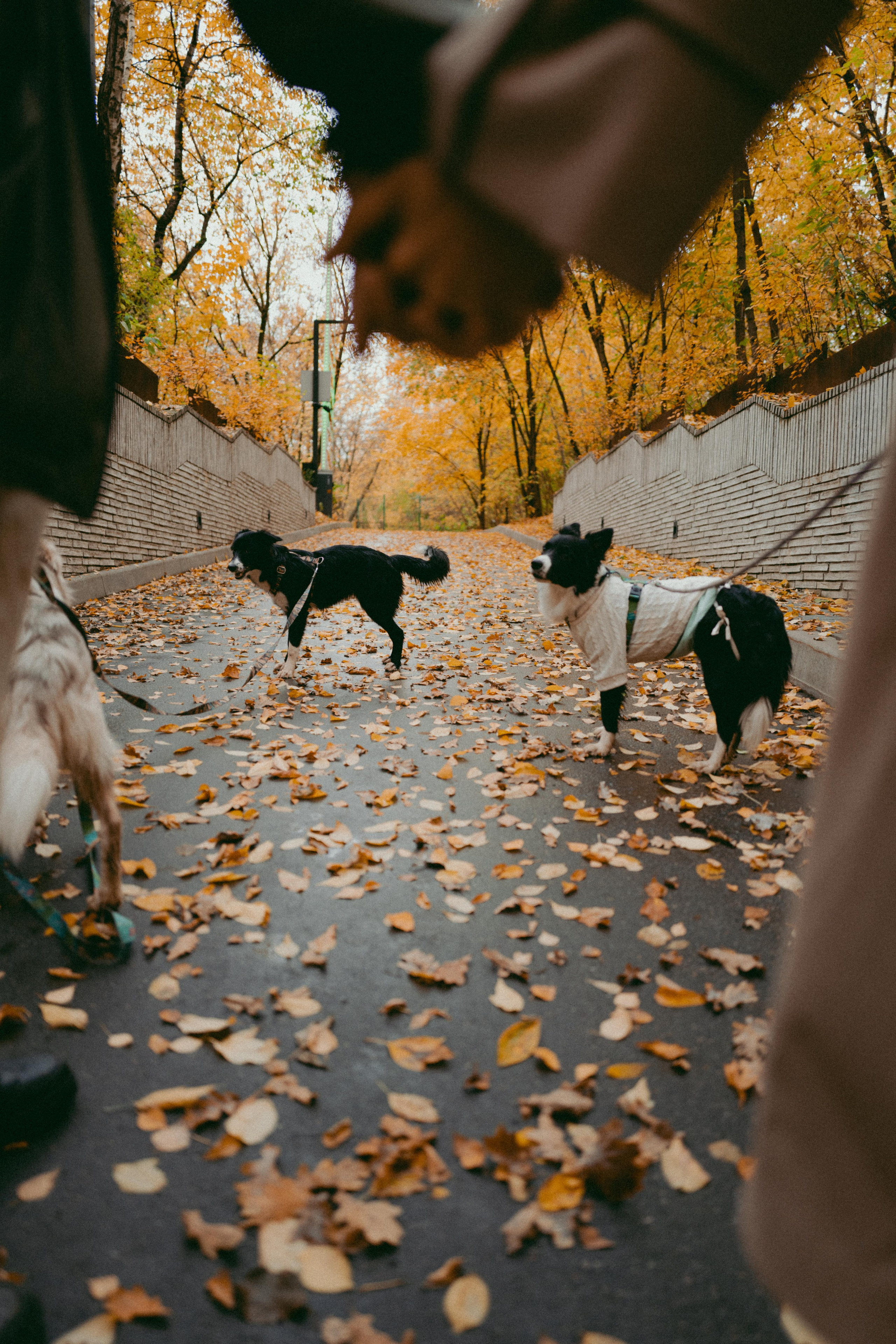 Sasha and Arina. Фотограф Евгения Добротворская