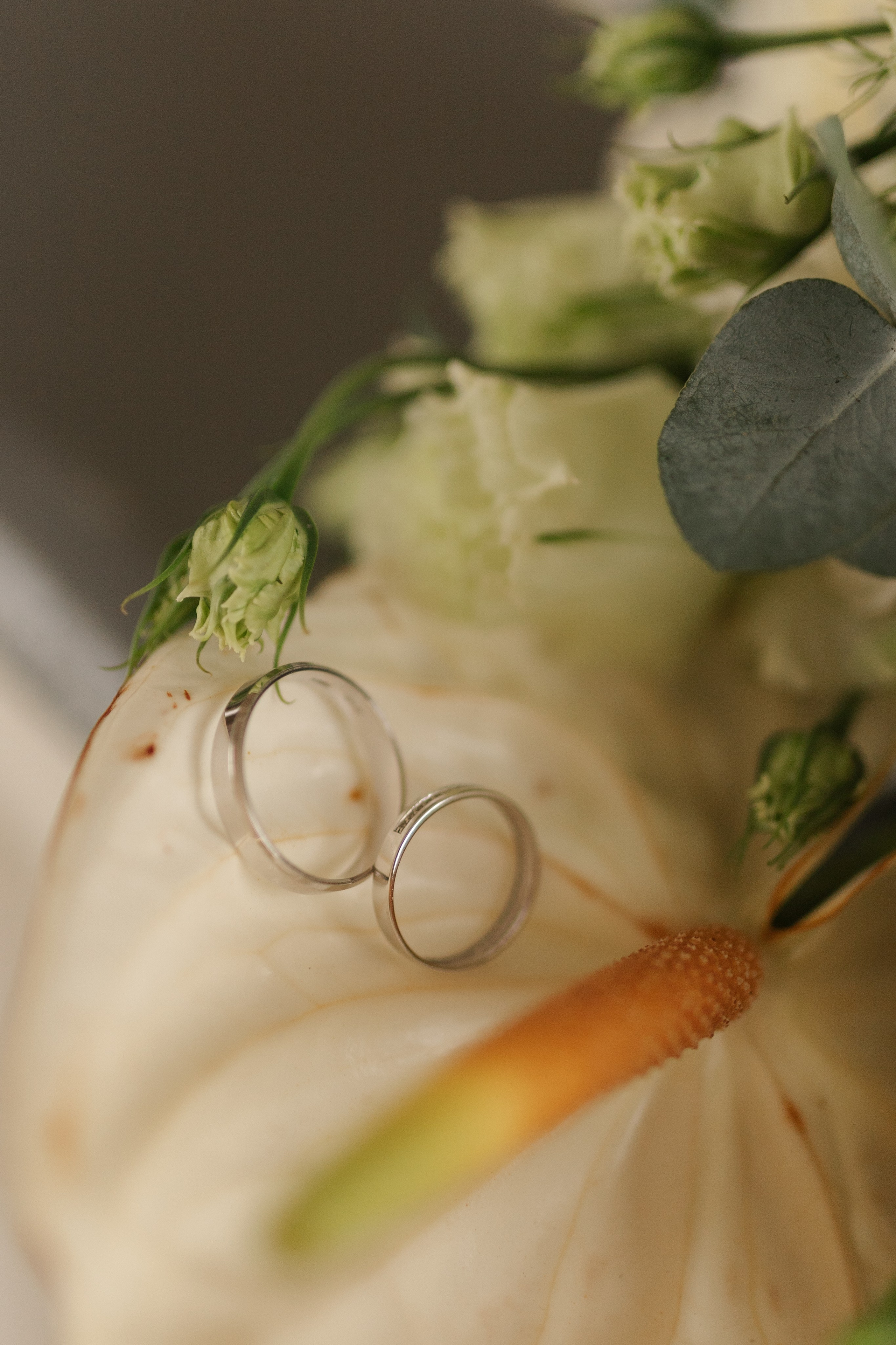 Н&Р. Фотограф Оля Климова, обучение фотографов