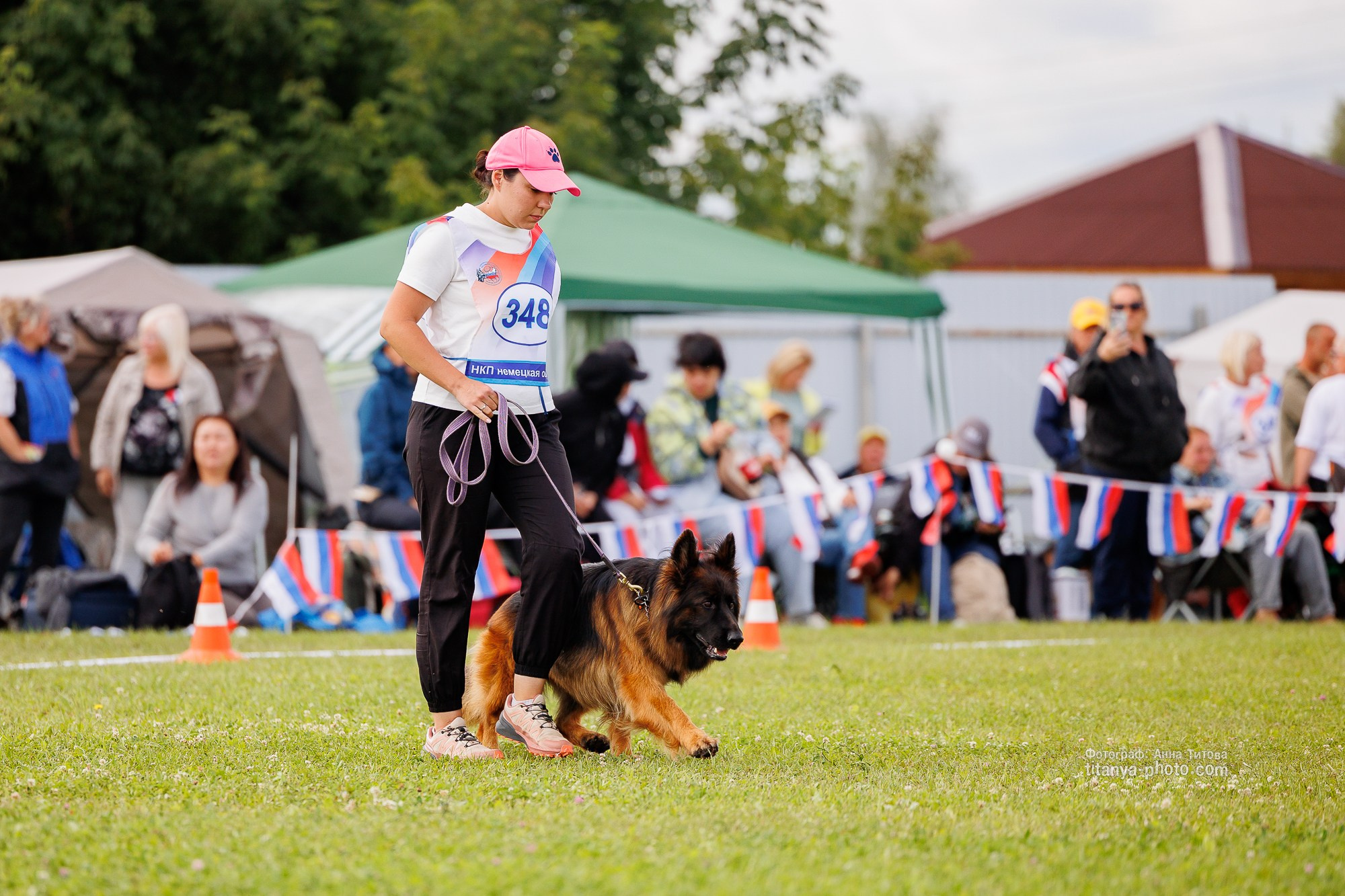 Немецкие овчарки: фото из рингов и вне ринга, мутпроба (фотографии с выставок). Фотограф собак, фотограф-анималист Аня Титова (Titanya). Москва