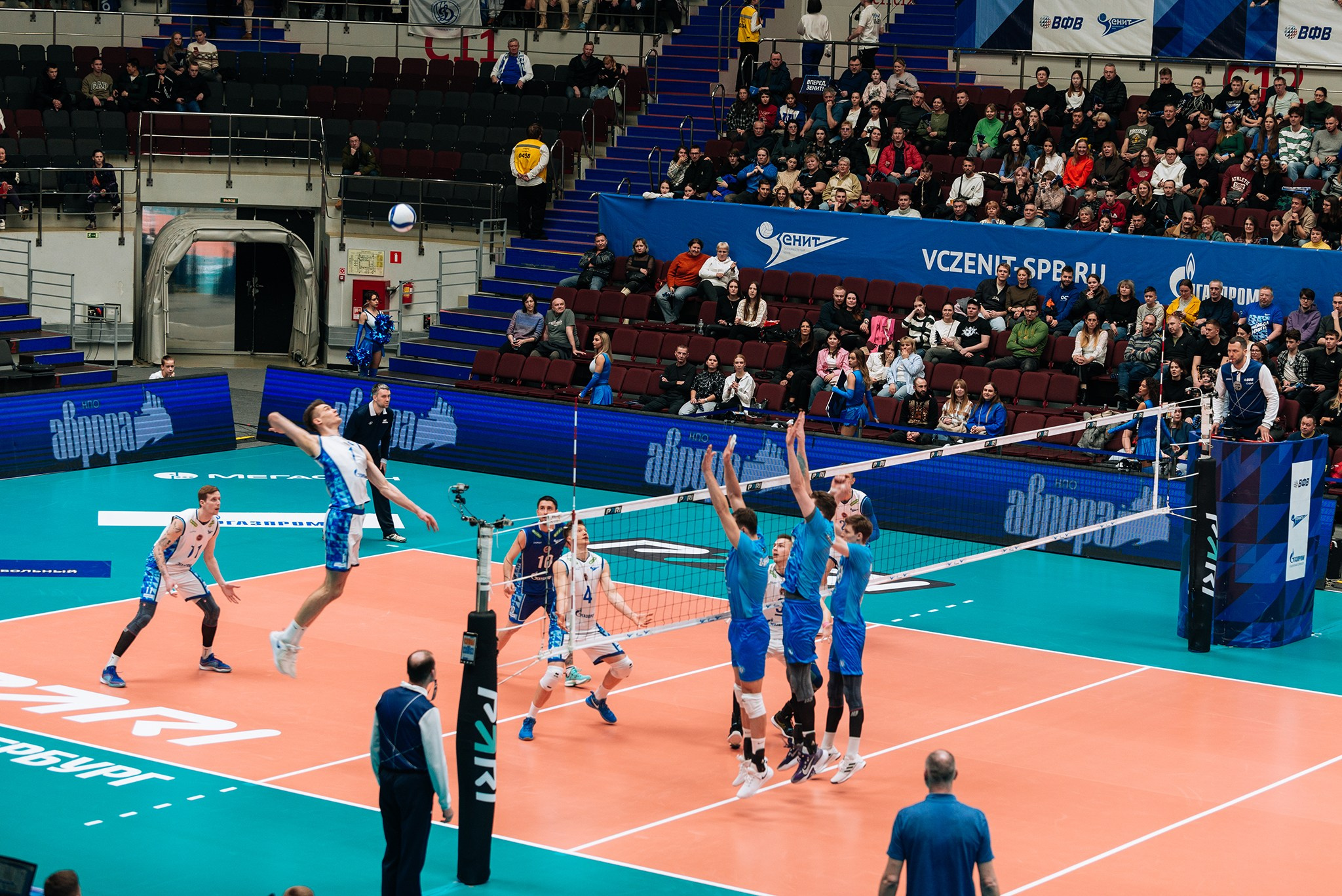 Зенит — Динамо-ЛО. Чемпионат России по волейболу. Февраль 24. Репортажный фотограф в Санкт-Петербурге Анастасия Клёпова