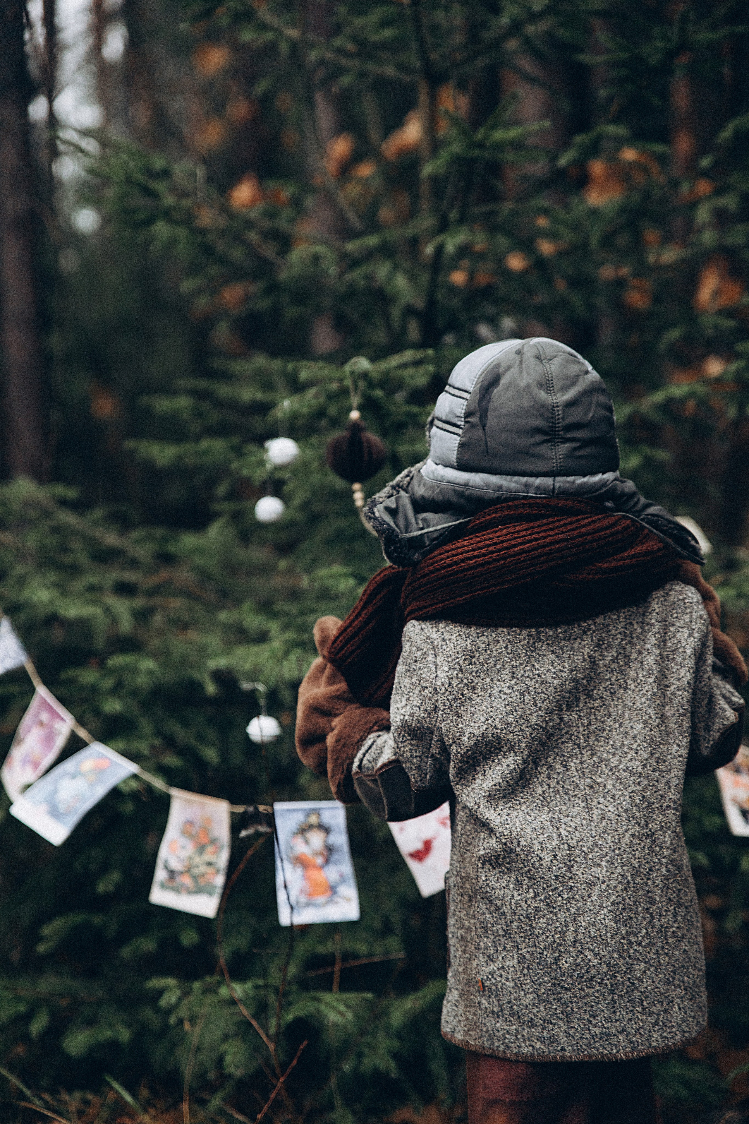Елка в лесу. Репортажный и детский фотограф в Минске