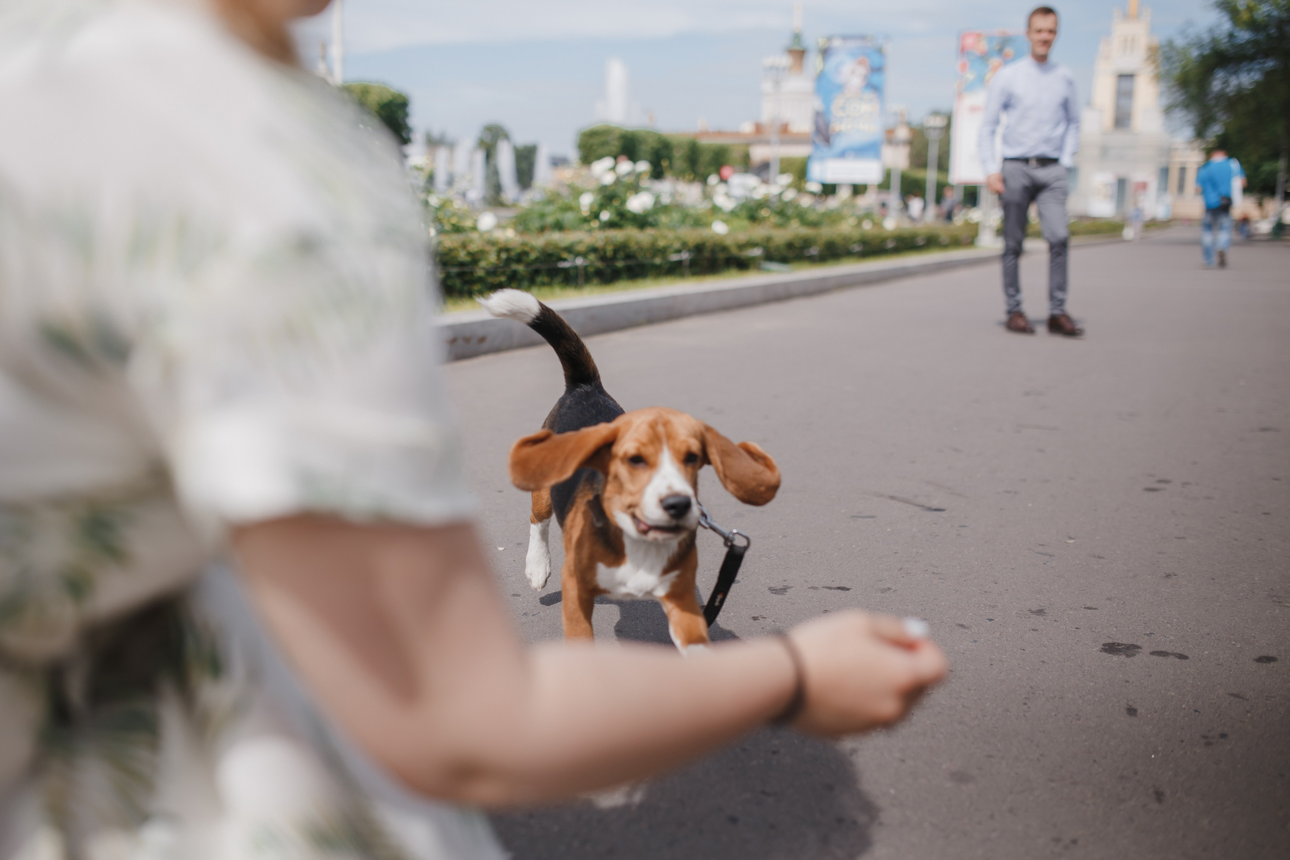 KATE&SLAVA. Анастасия Вайнер — свадебный и портретный фотограф в Германии и по всей Европе