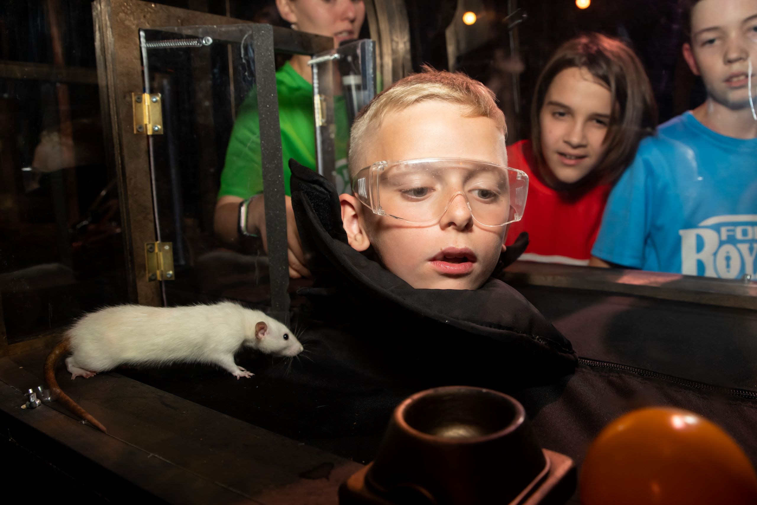 Детские праздники — Форт Боярд. Фотограф Анастасия Федорченко г. Москва