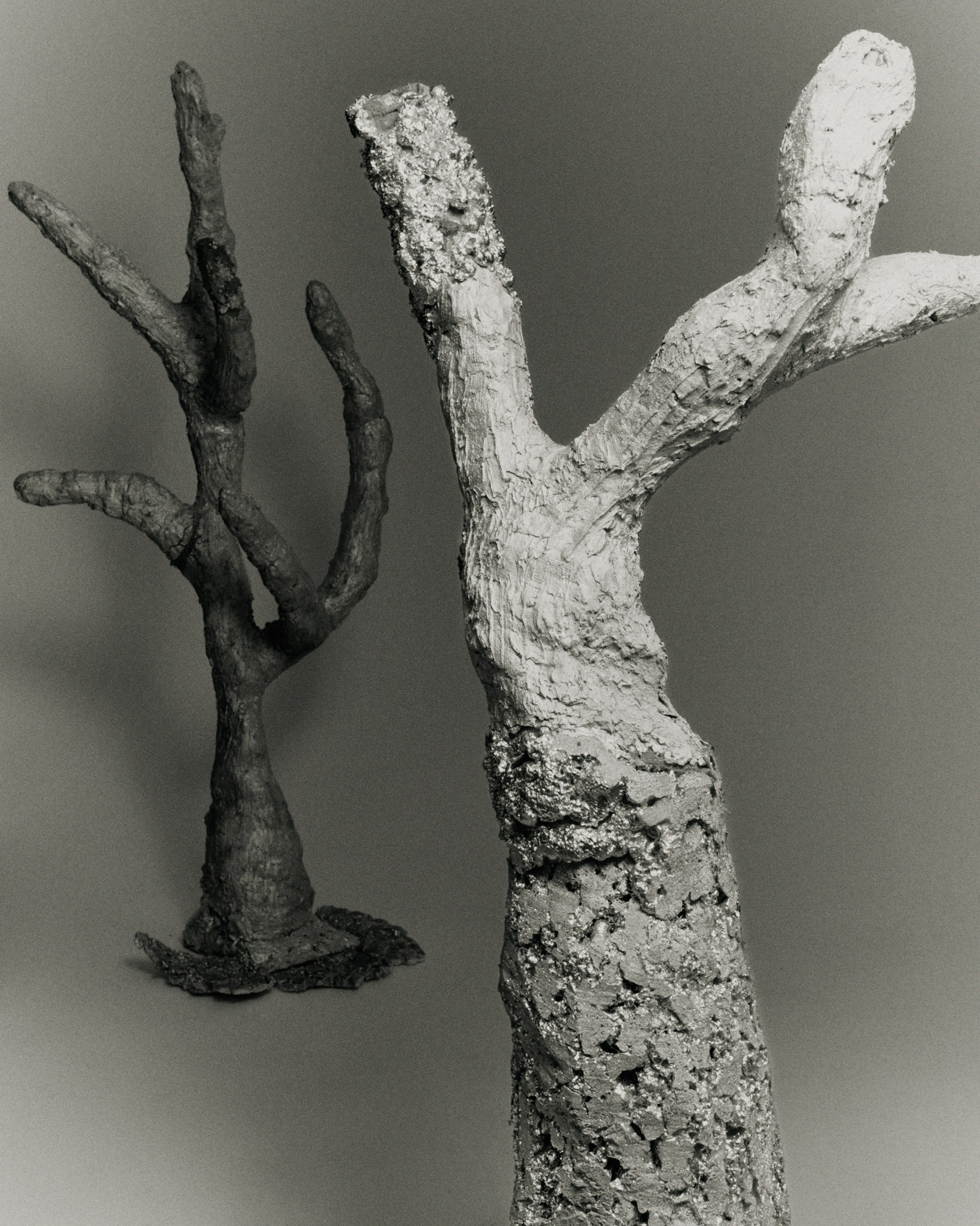 Campaign «The Silver Tree» for Ex8'25. Vasiliy Shvetsov