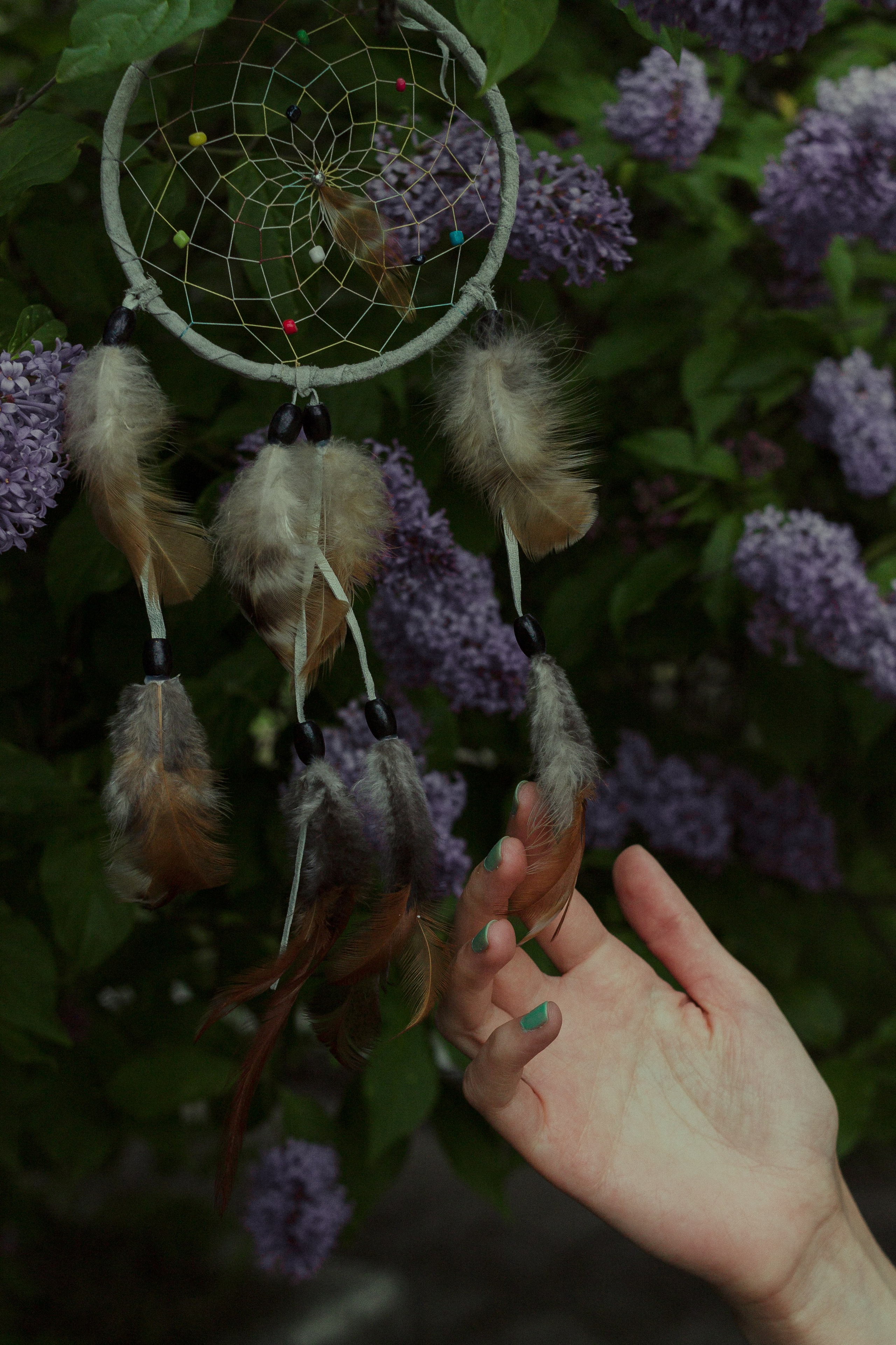 Юлия. Борщевская Елизавета / фотограф Иркутск