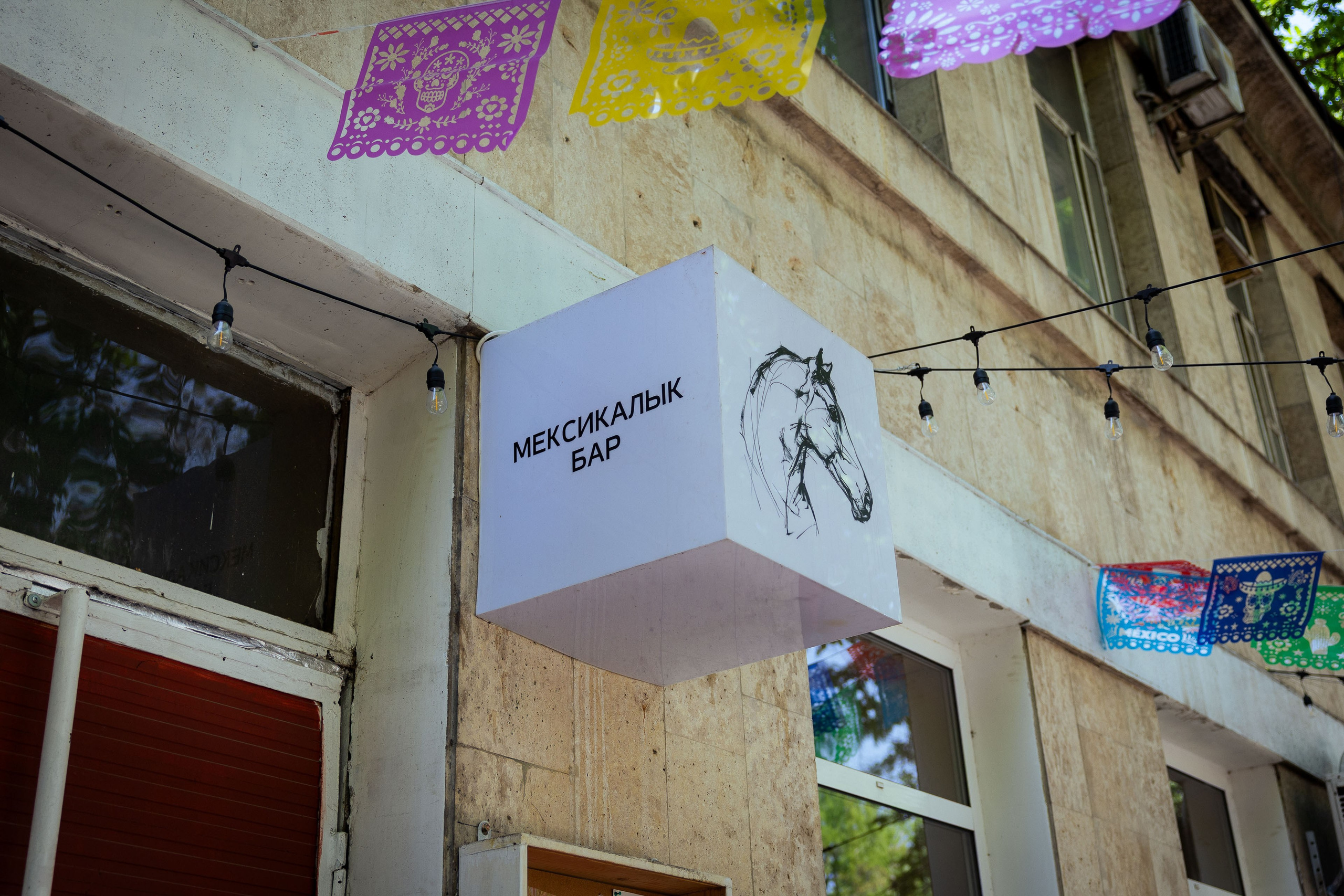 Кыргызстан (весна 2025). Фотограф Виноградов Константин