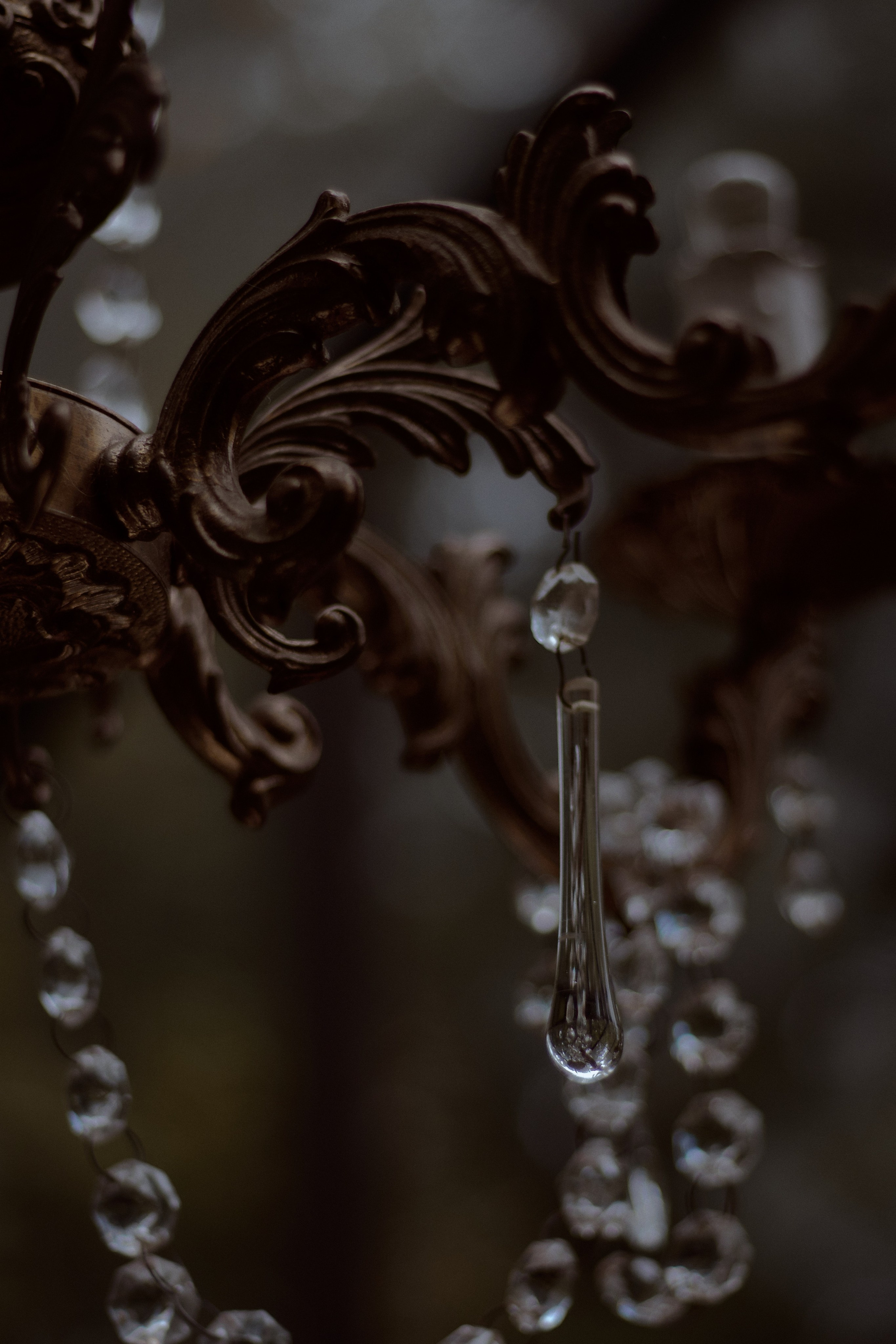 Стеклянная Оранжерея. Фотограф лавстори Москва/МО Приятелева Ангелина