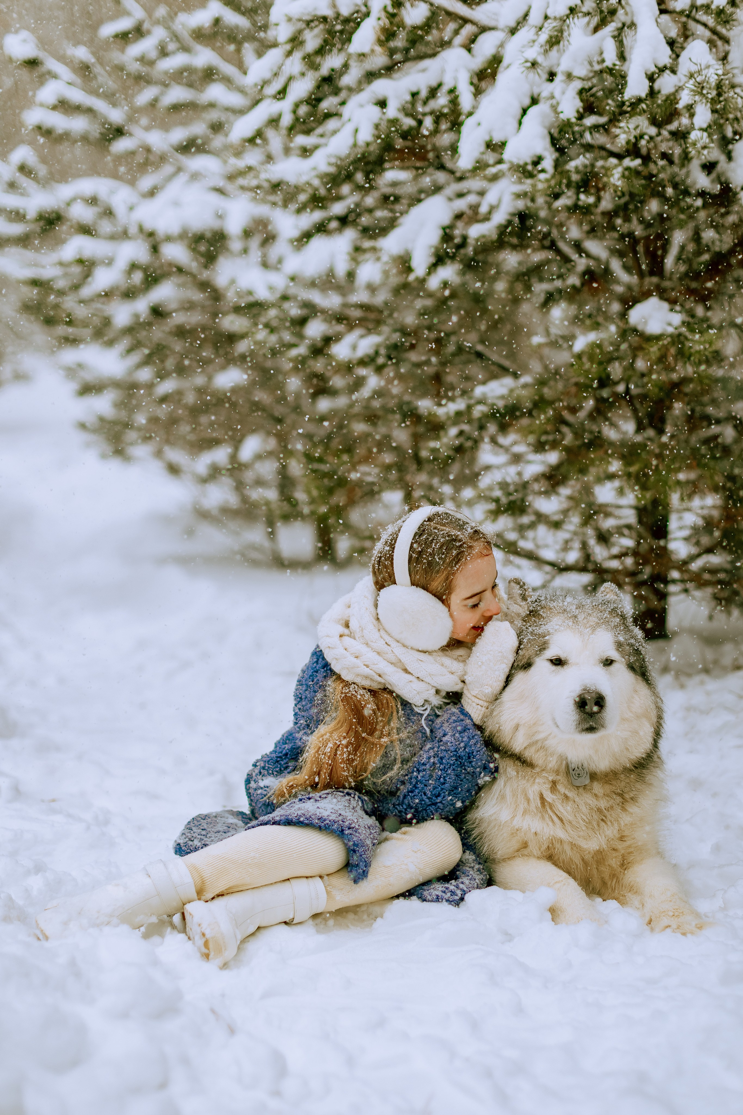 София и аляскинский маламут. Фото и видео Москва, Московский. Свадебный фотограф, видеограф, фотосессии, видеосъемка