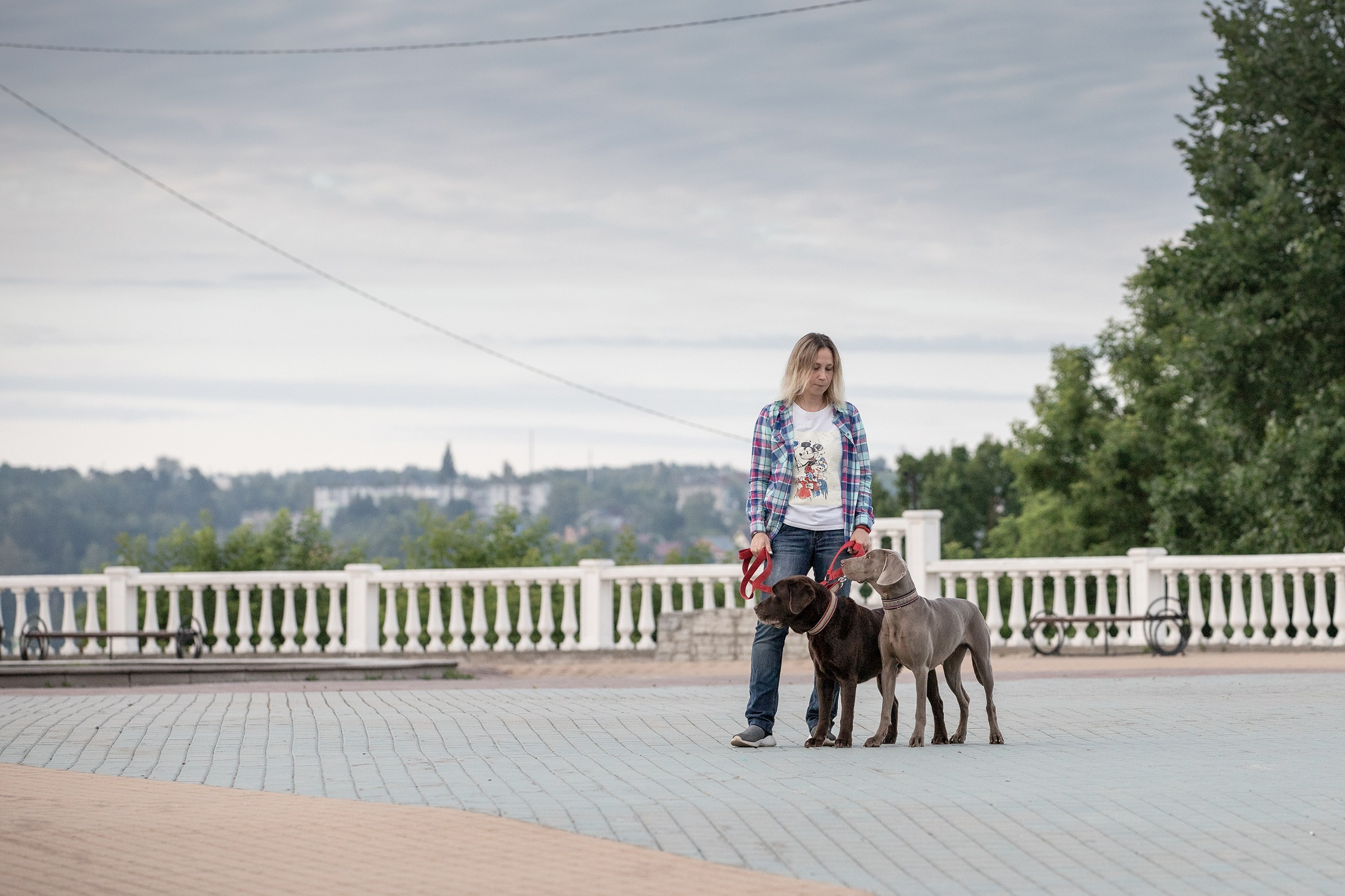 Оля, Джек и Айса. Фотограф-анималист в Калуге Мария Шерскова