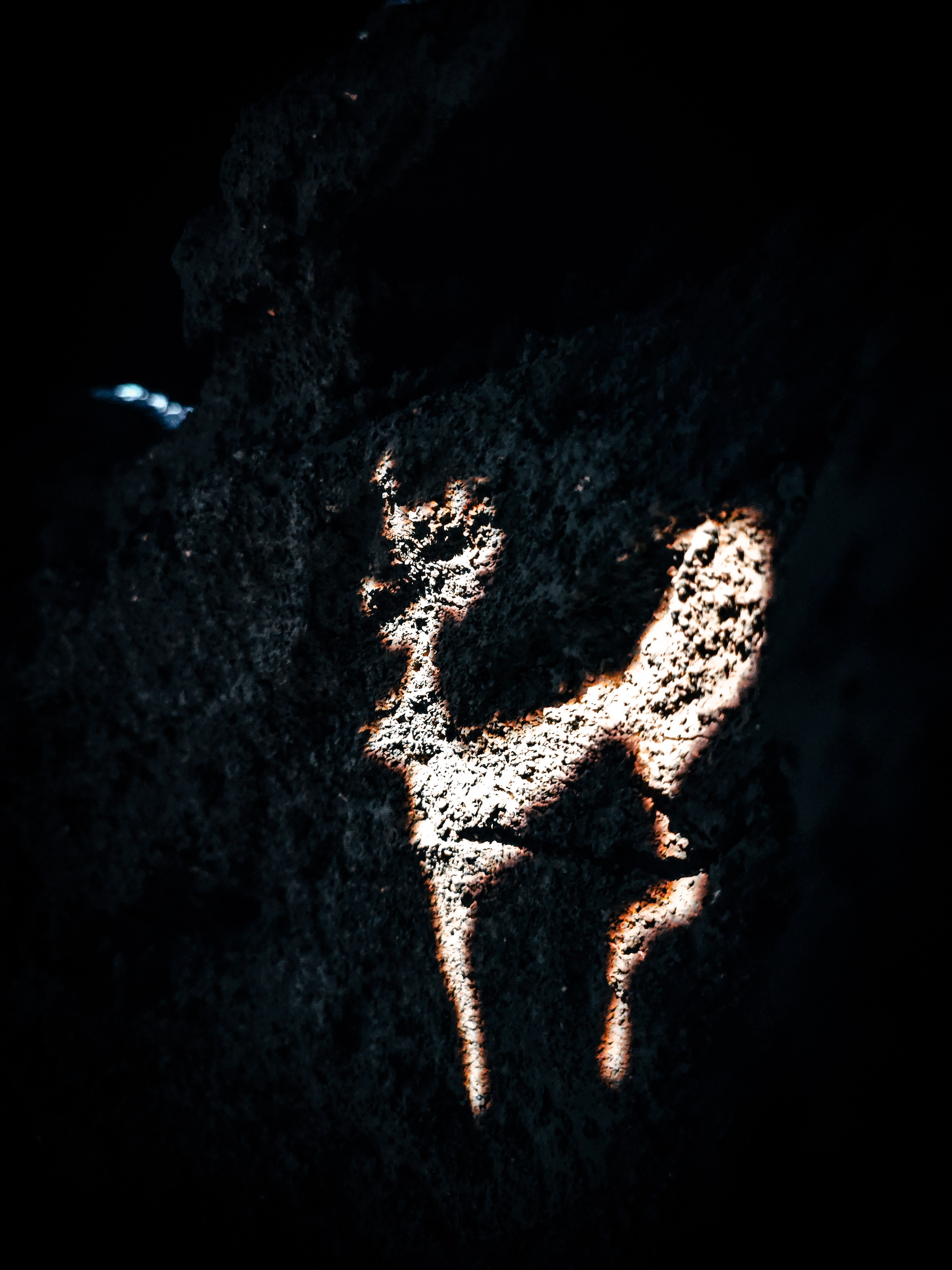 Выставка «Сны Сибири». Игорь Урывский. Фотограф Красноярск